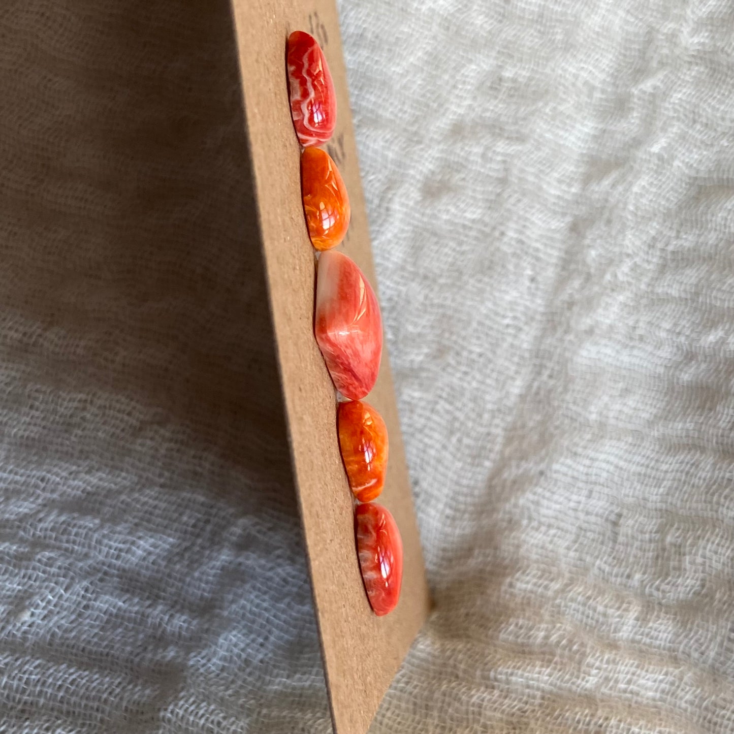 Oyster Shell Cabochon - Mix149