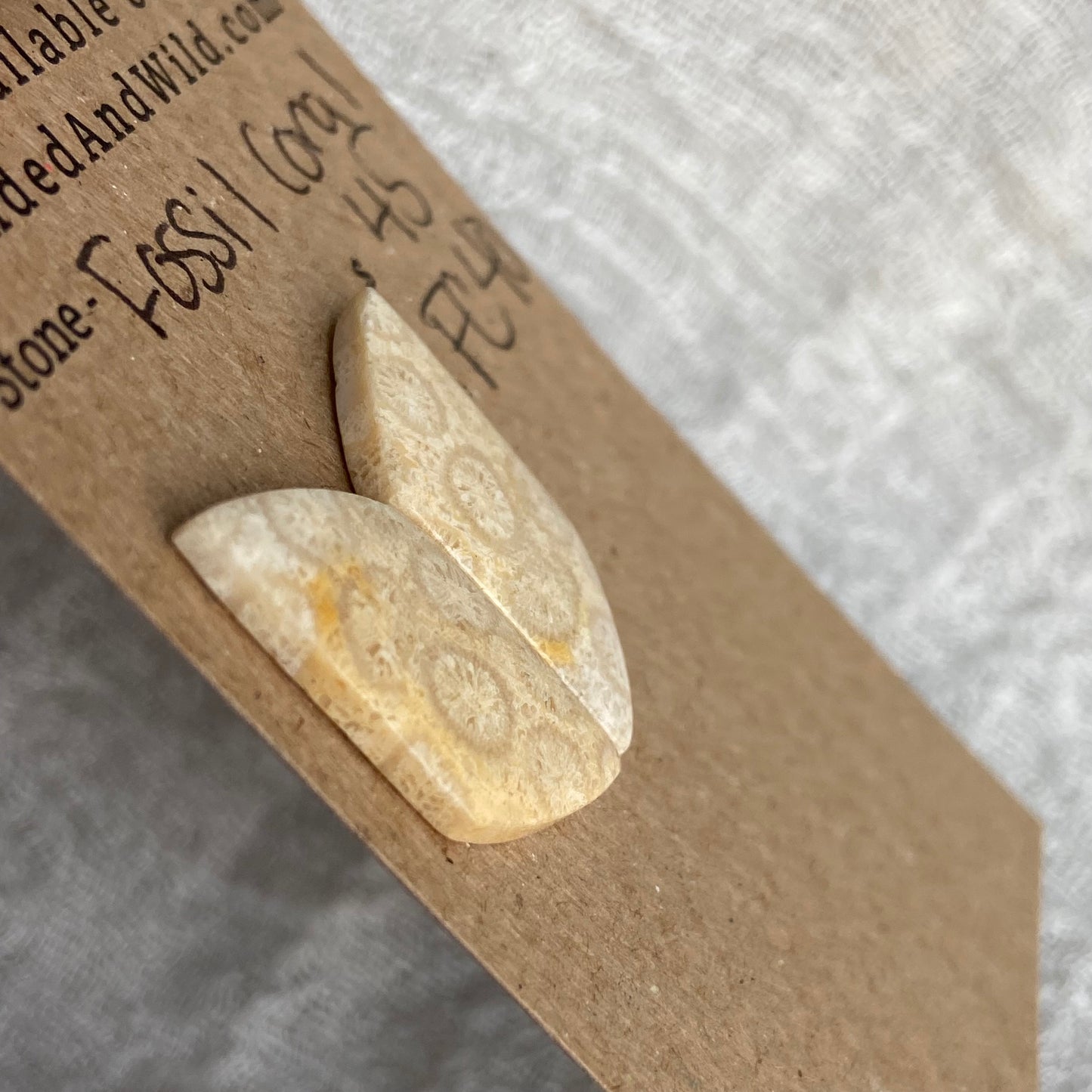 Fossil Coral Cabochon - FC40