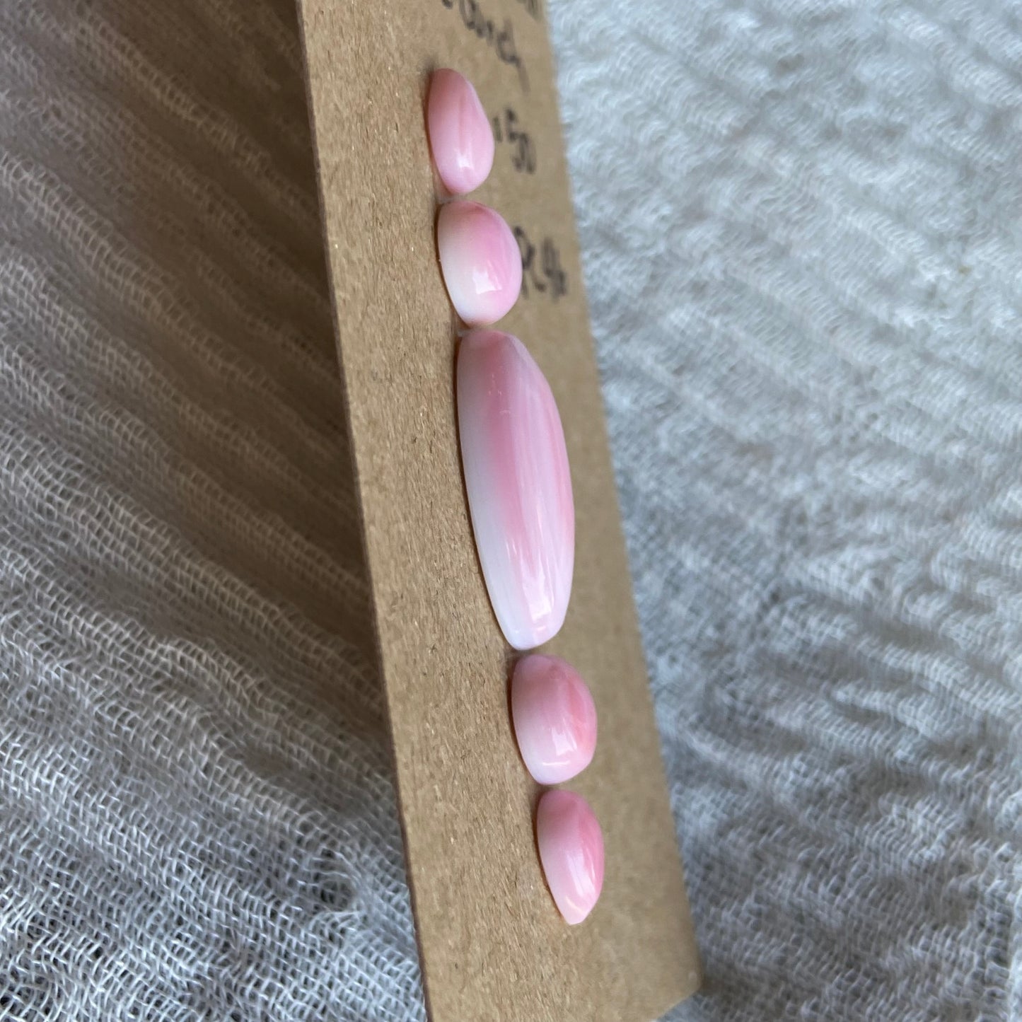Pink Conch Cabochon - PC46
