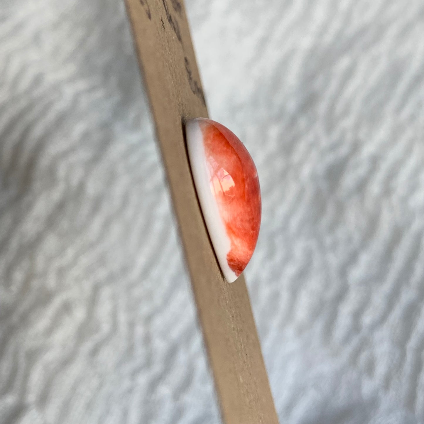 Spiny Oyster Shell Cabochon - SOS20