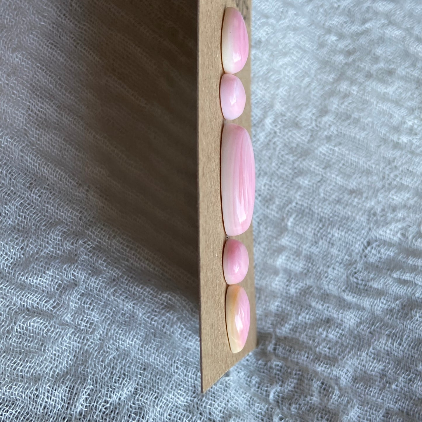 Pink Conch Cabochon - PC11