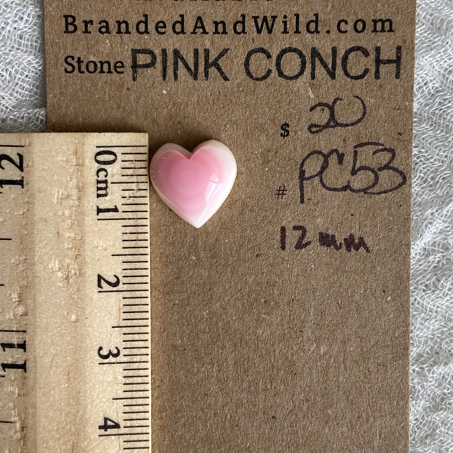 Pink Conch Cabochon - PC53