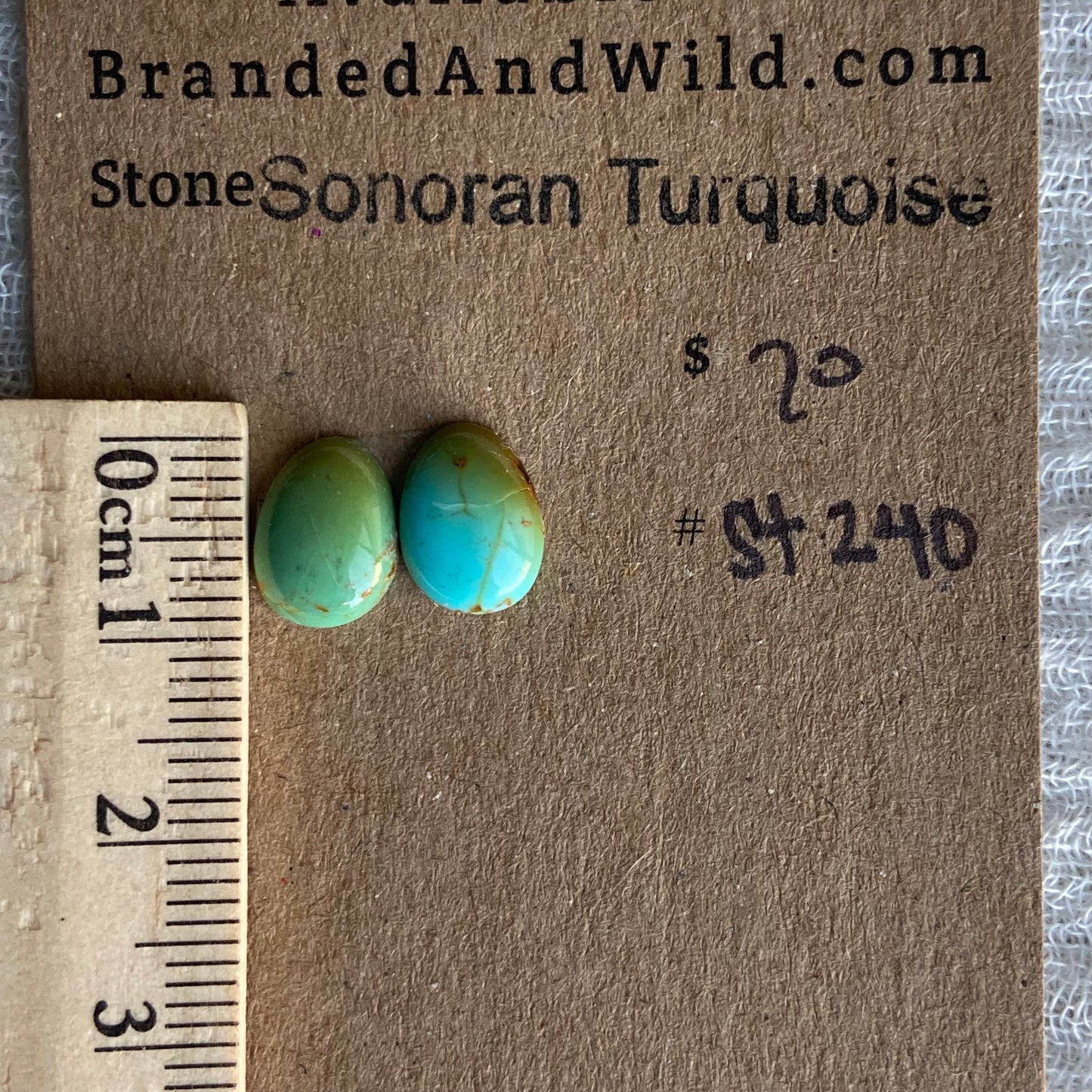 Sonoran Turquoise Cabochon - ST240