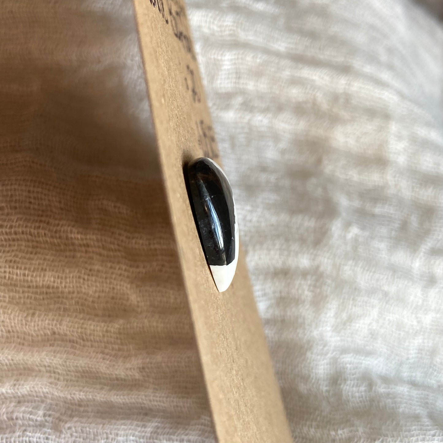 White Buffalo Cabochon - WB113