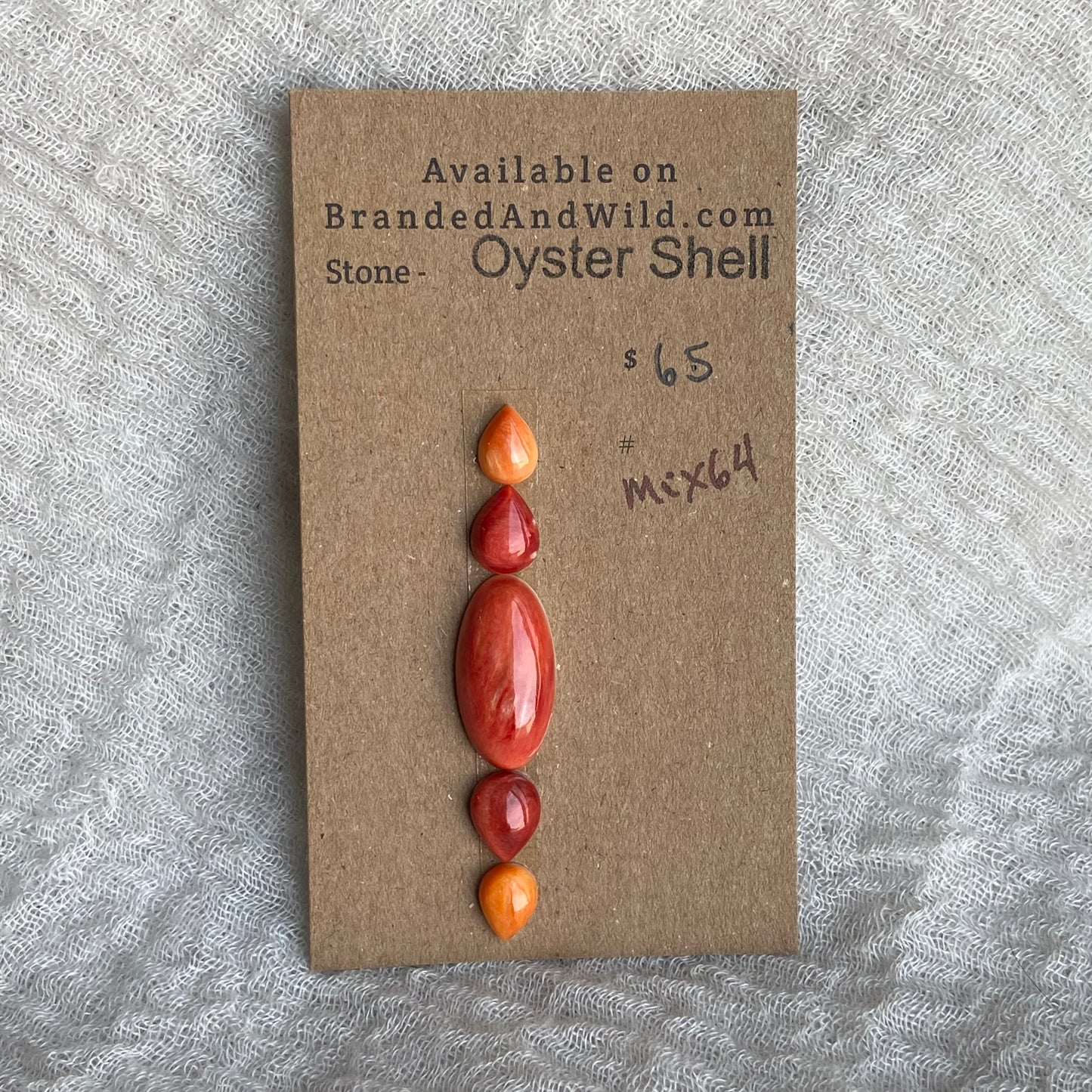 Oystershell Cabochon - MIX64
