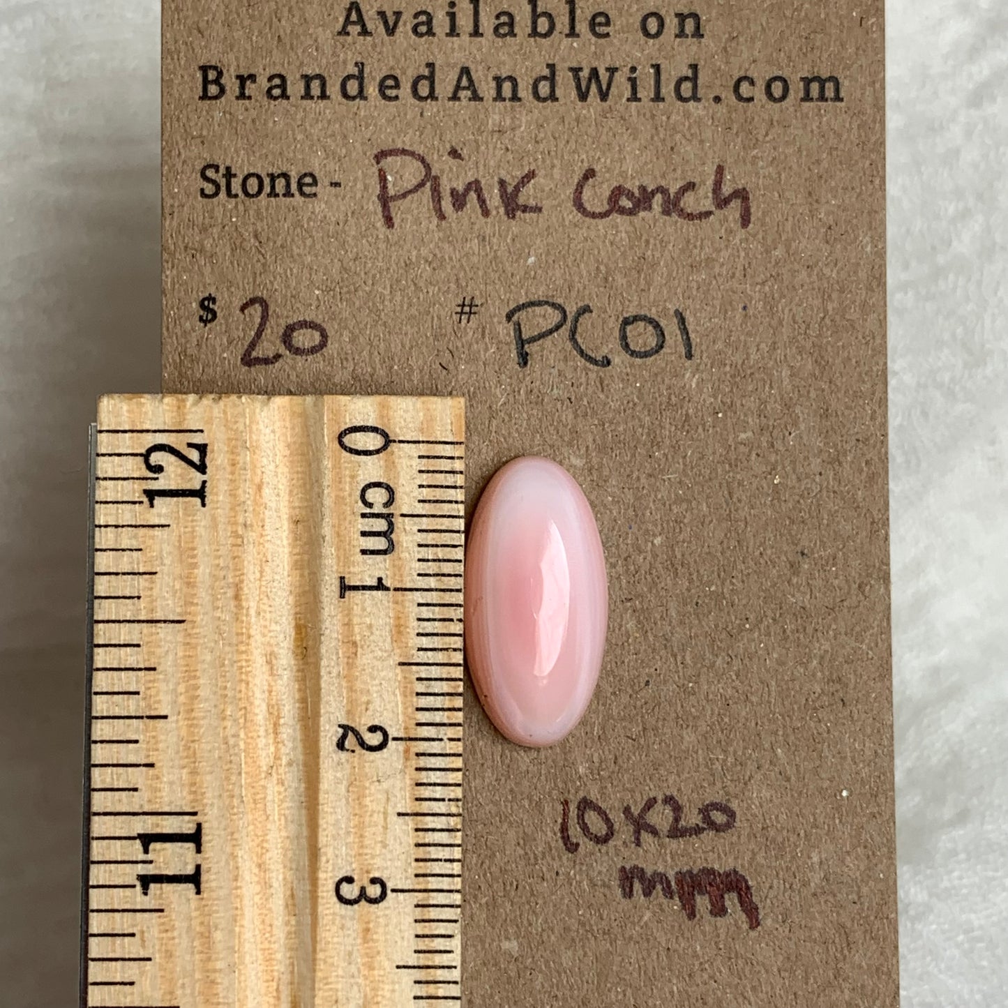 Pink Conch Cabochon - PCS01