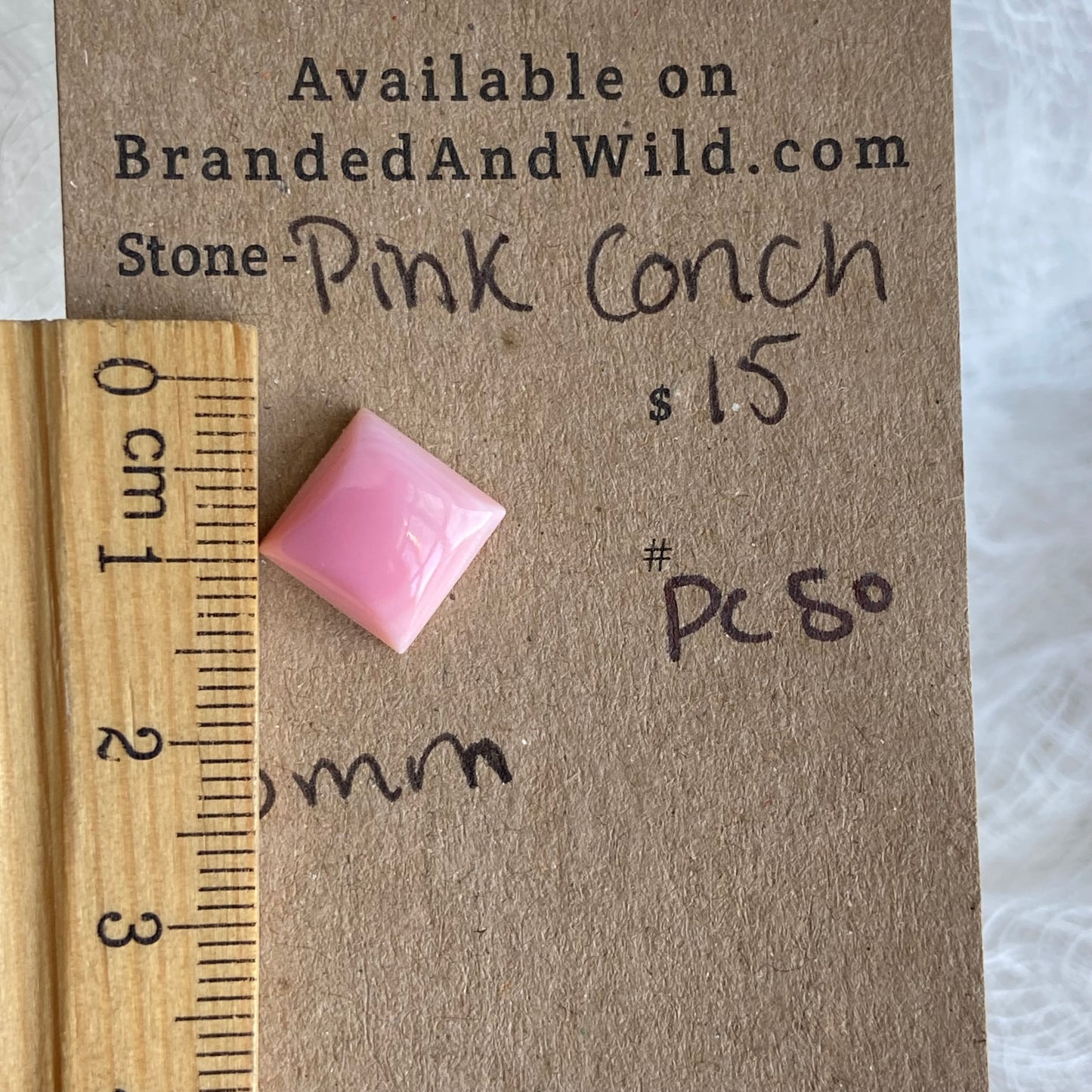 Pink Conch Cabochon - PC50
