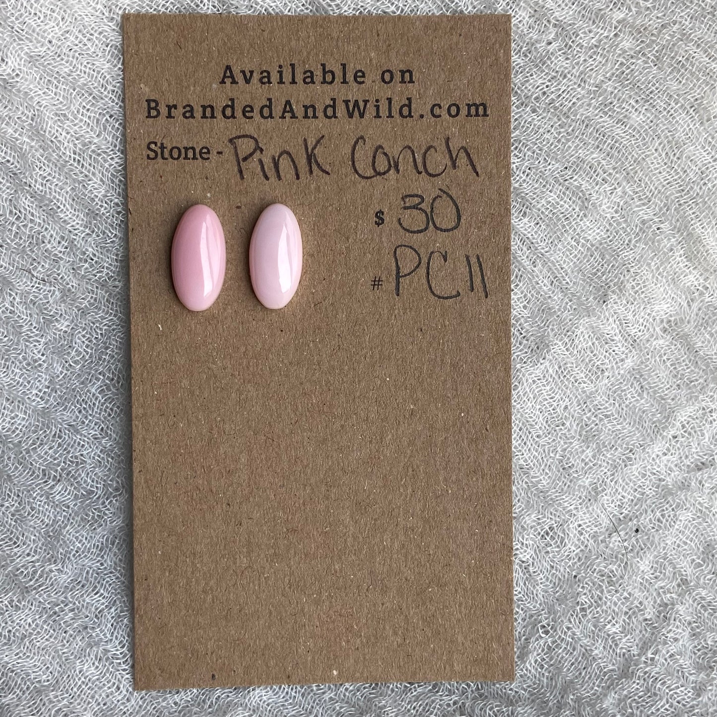 Pink Conch Cabochon - PC11