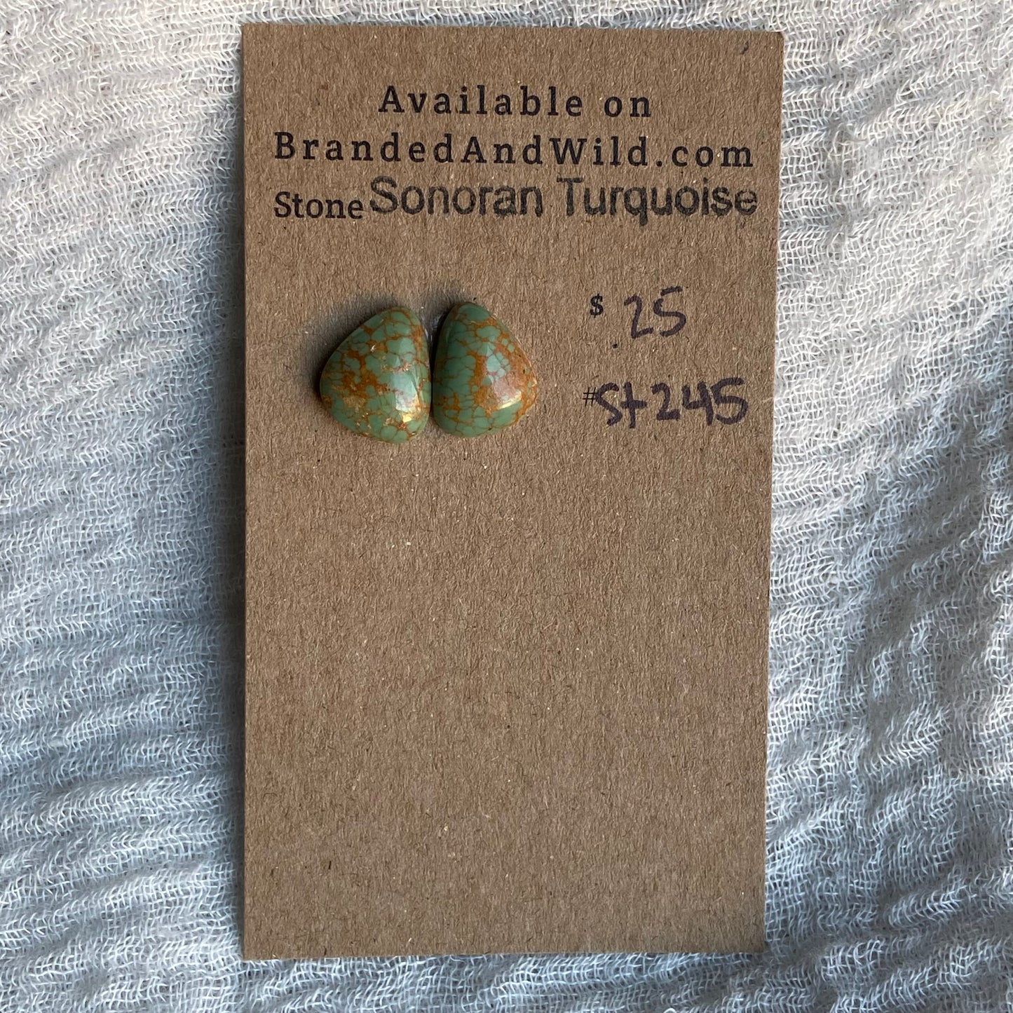 Sonoran Turquoise Cabochon - ST245