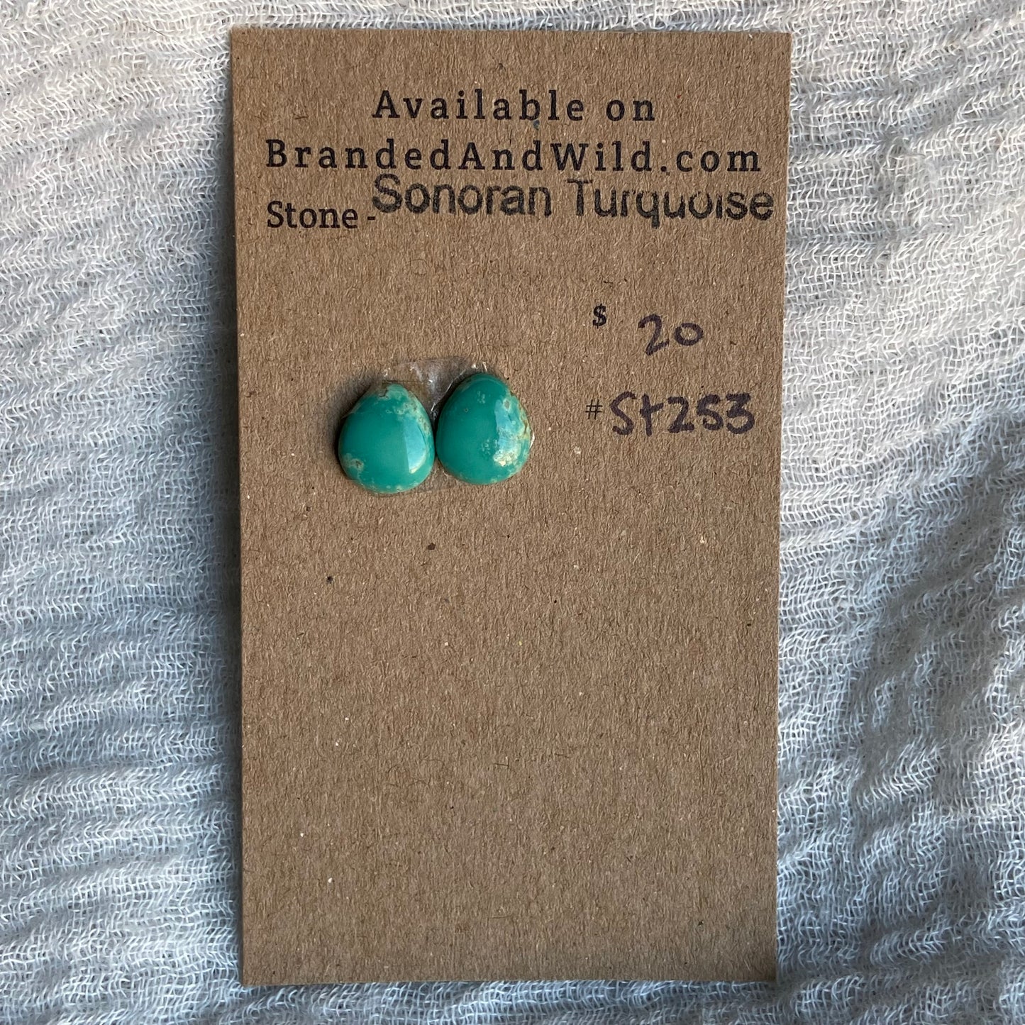 Sonoran Turquoise Cabochon - ST253