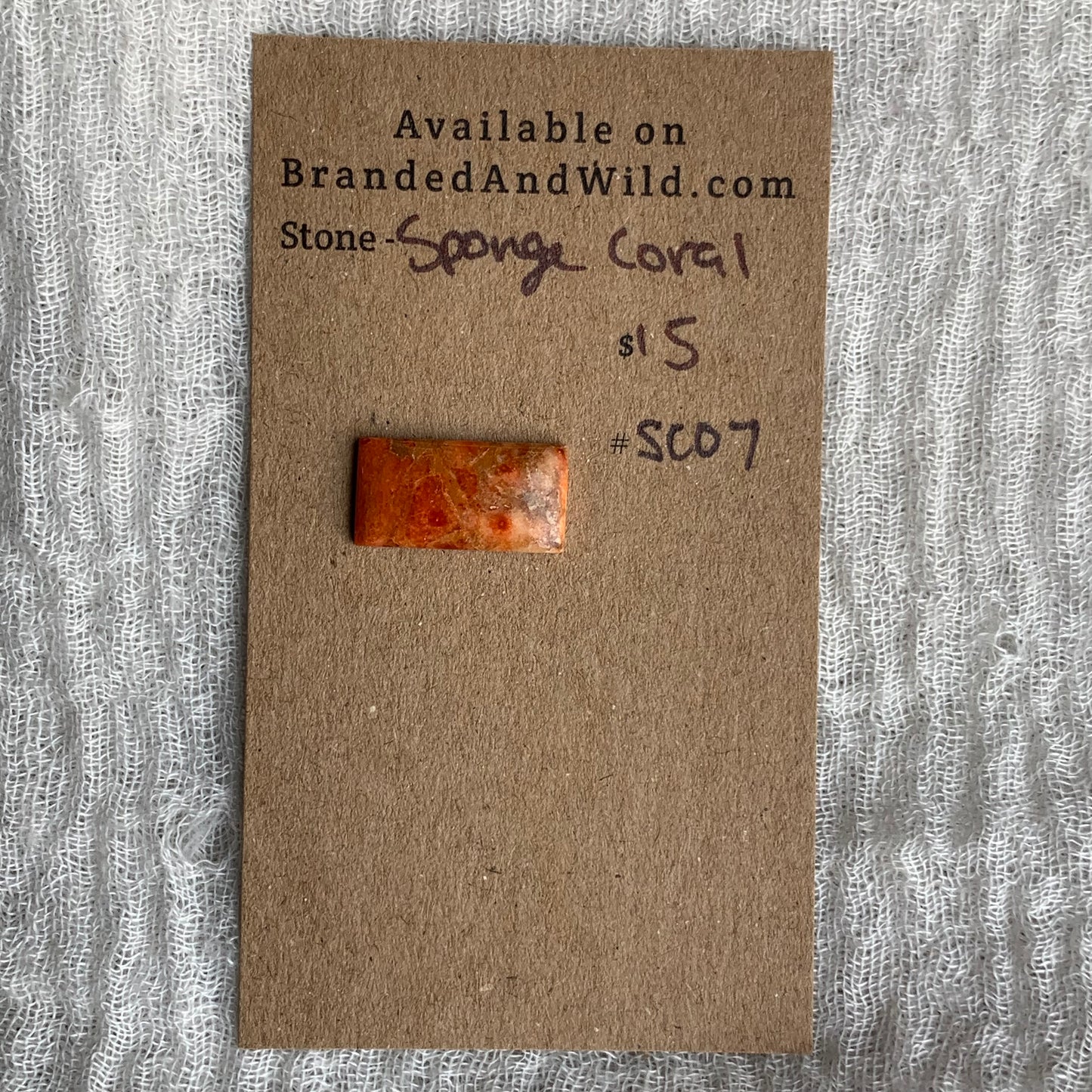 Sponge Coral Cabochon - SC07