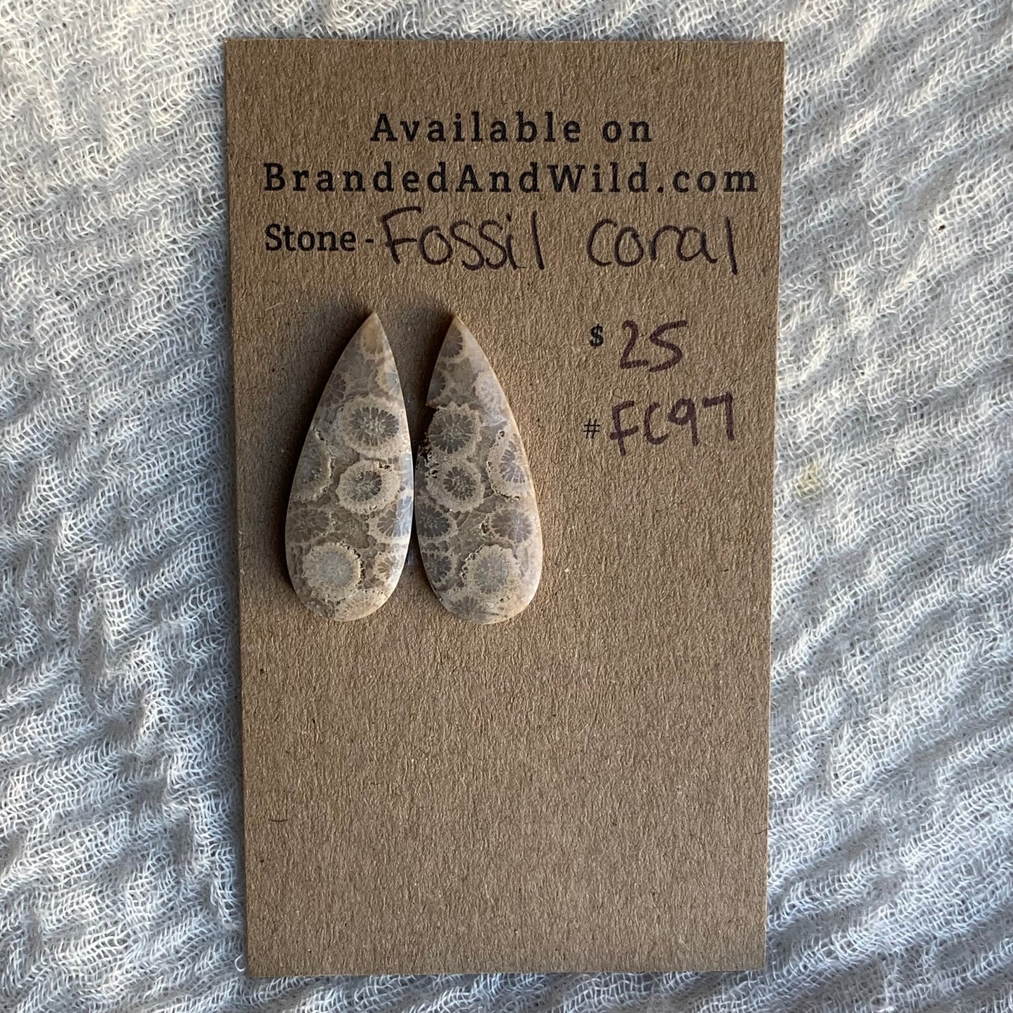 Fossil Coral Cabochon - FC97