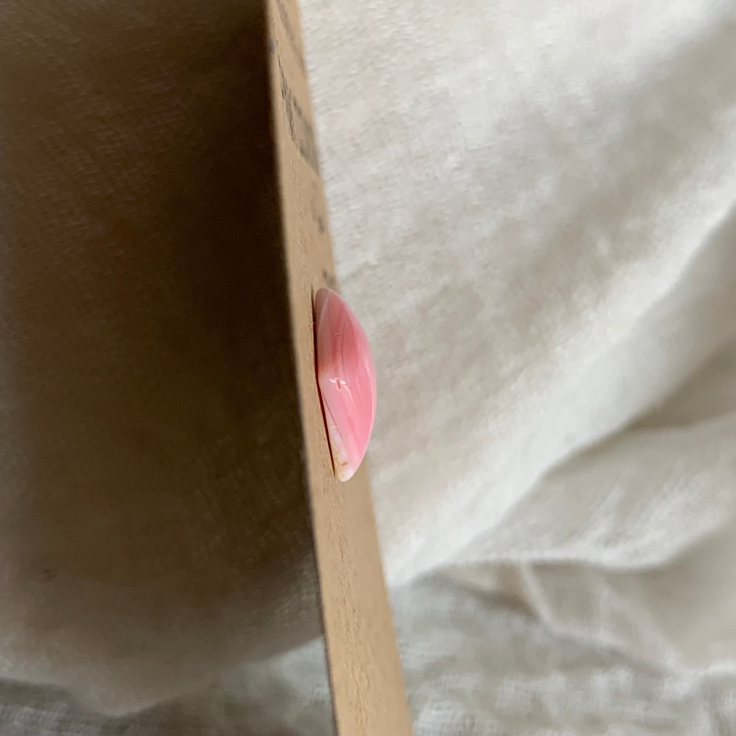 Pink Conch Cabochon - PC41