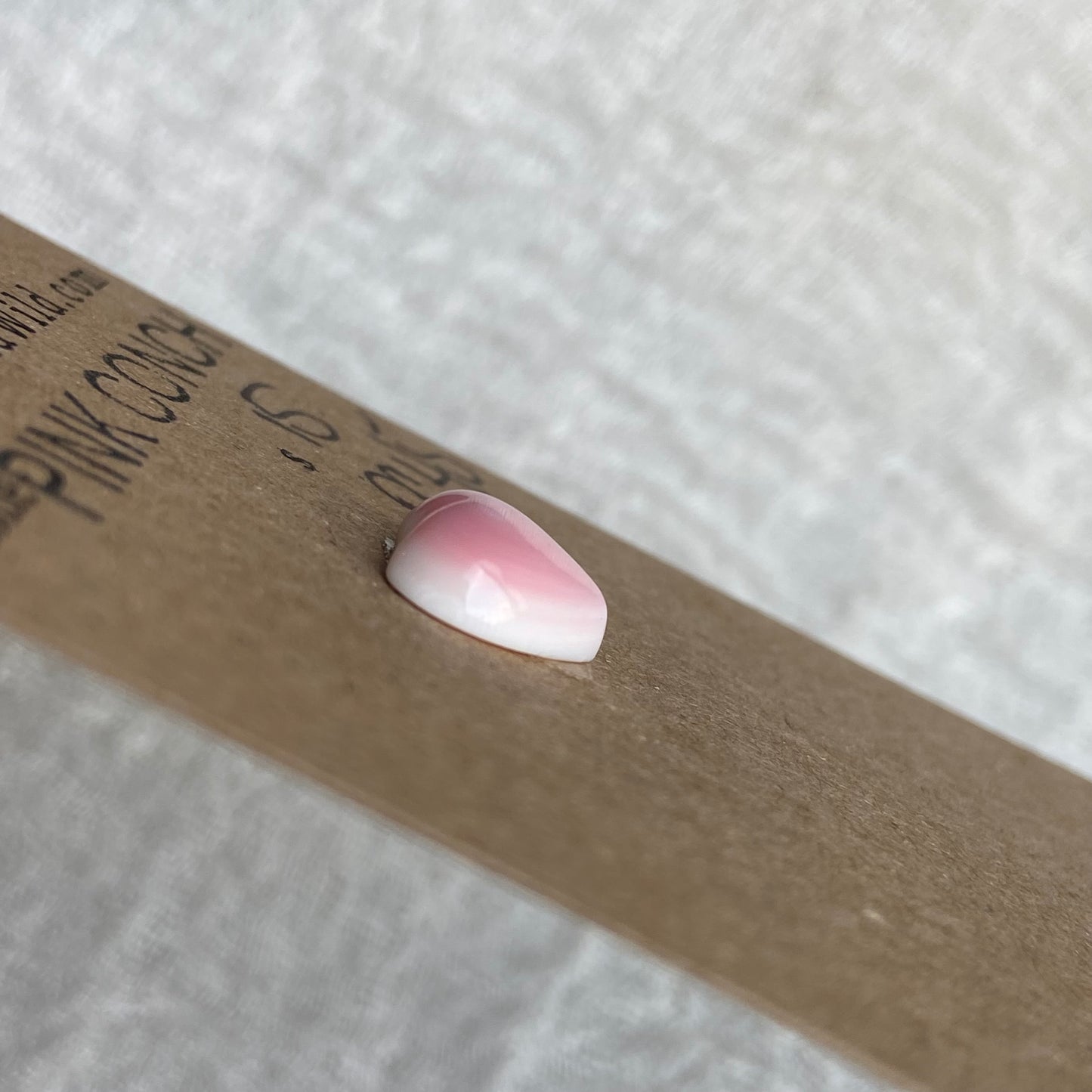 Pink Conch Cabochon - PC45