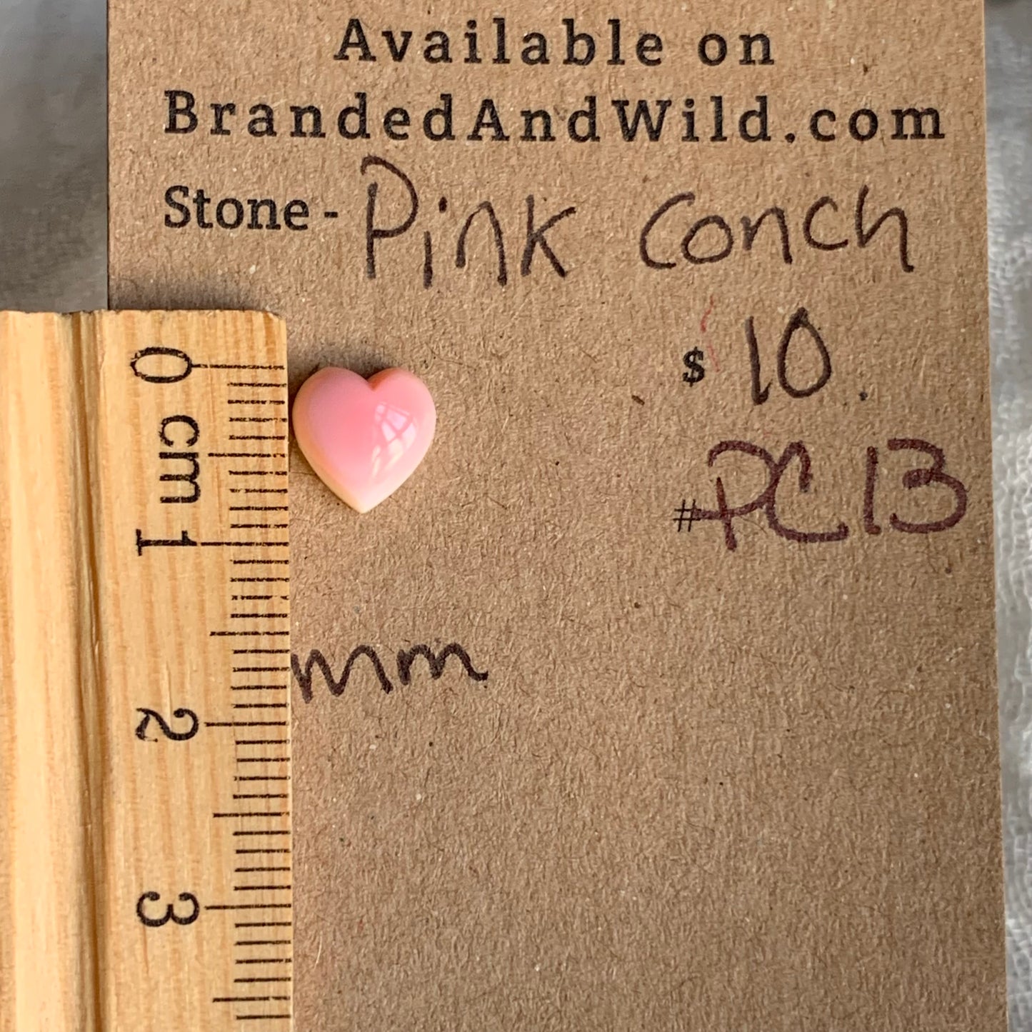 Pink Conch Cabochon - PC13