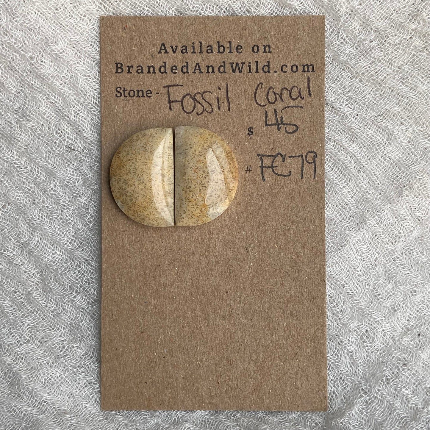 Fossil Coral Cabochon - FC79