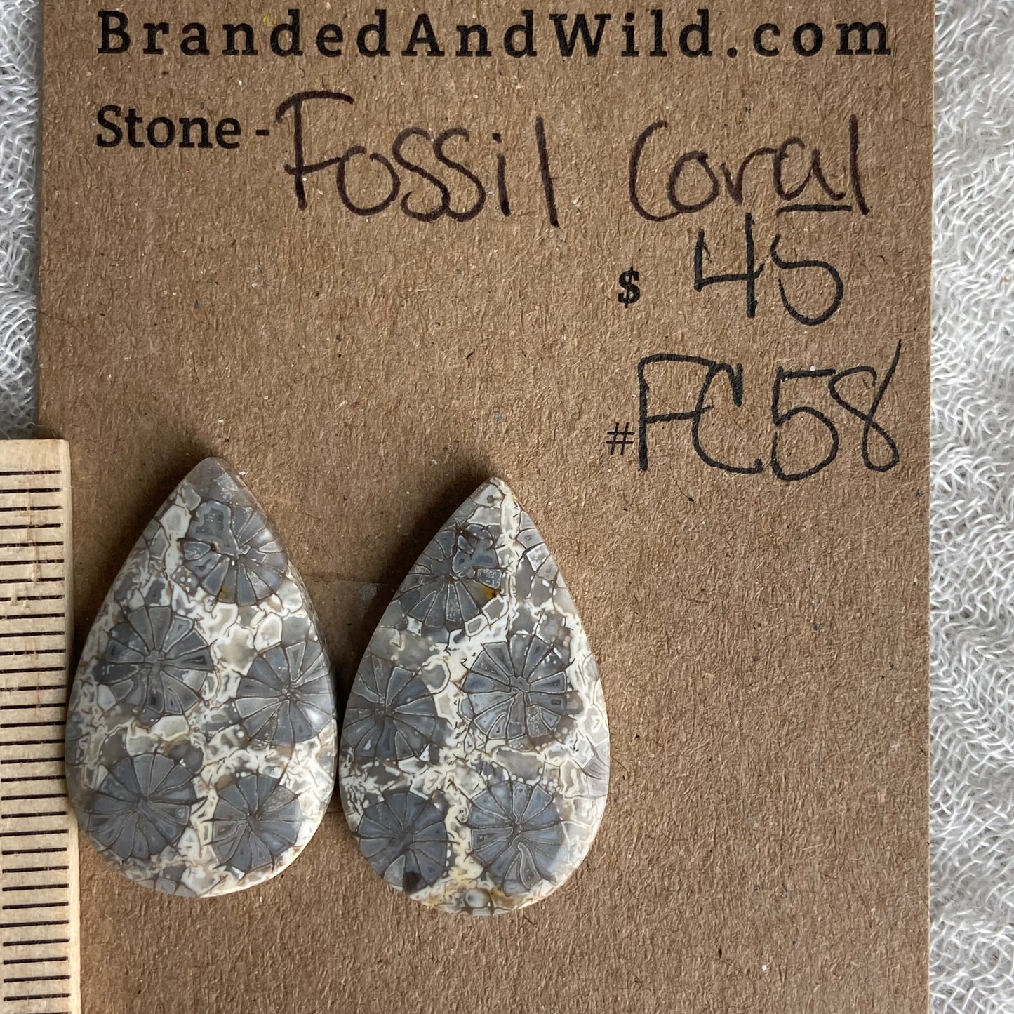 Fossil Coral Cabochon - FC58