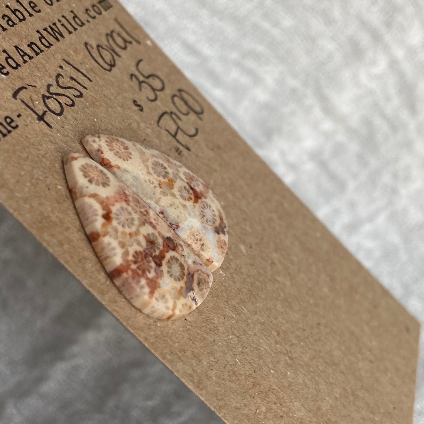 Fossil Coral Cabochon - FC90