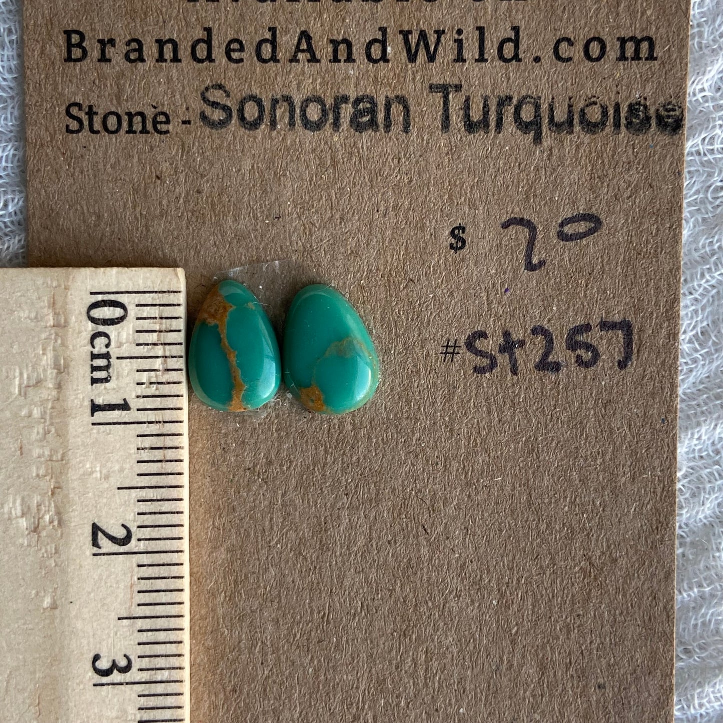 Sonoran Turquoise Cabochon - ST257