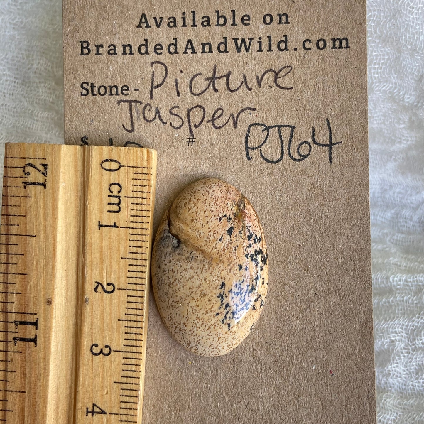 Picture Jasper Cabochon - PJ64