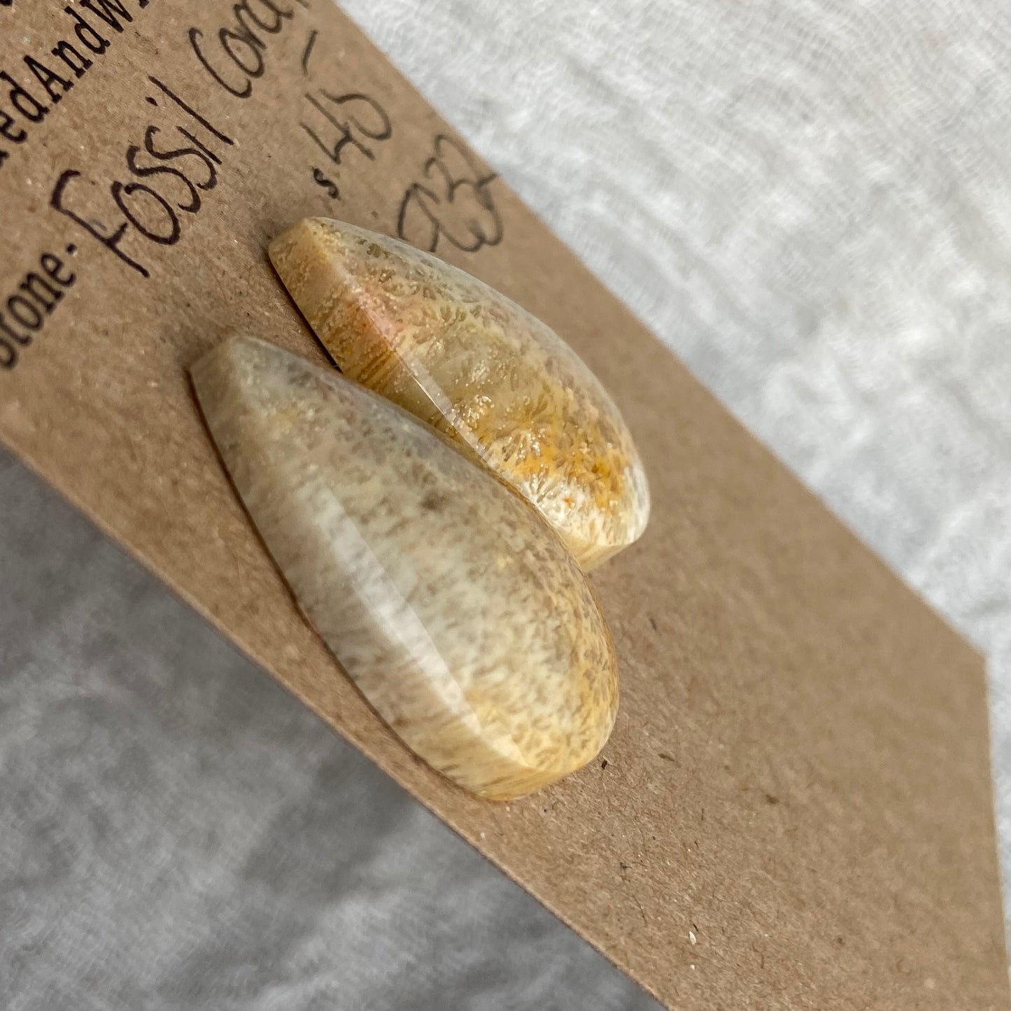 Fossil Coral Cabochon - FC32