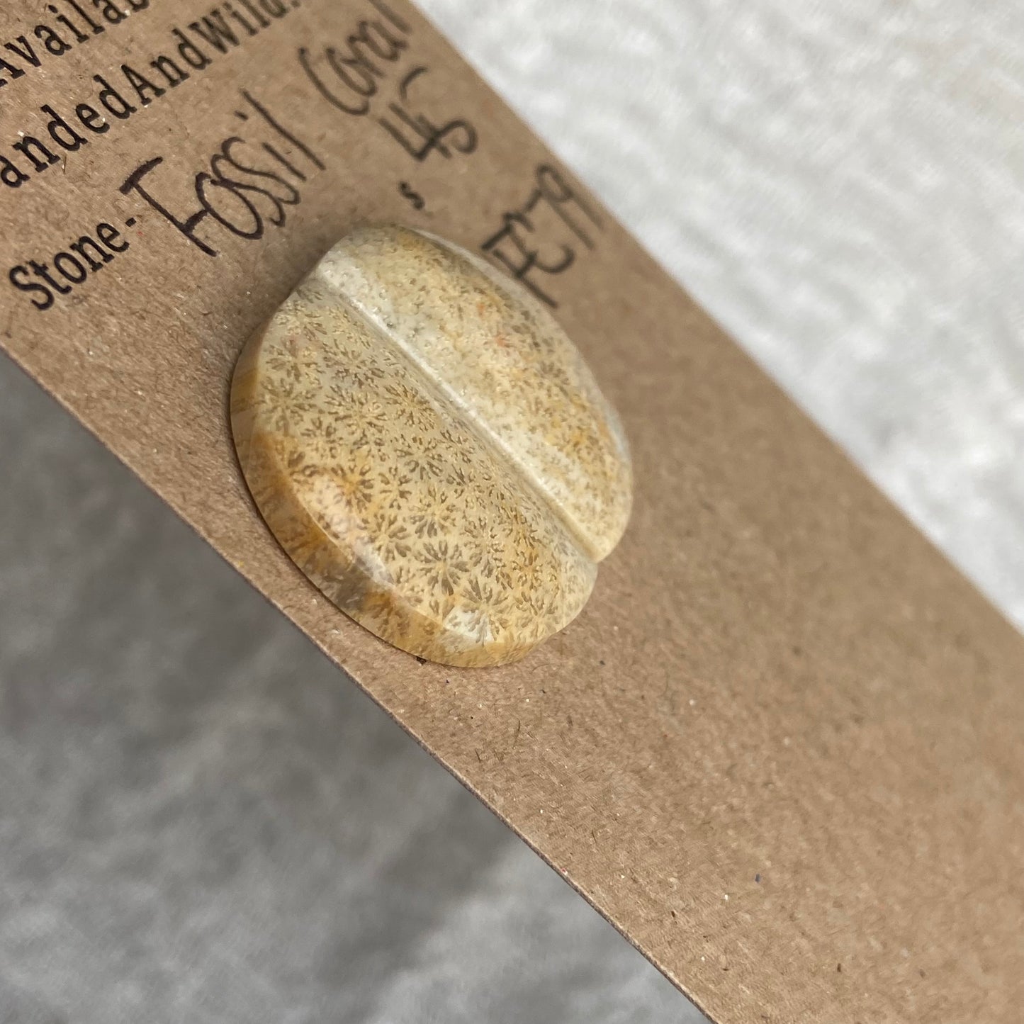 Fossil Coral Cabochon - FC79