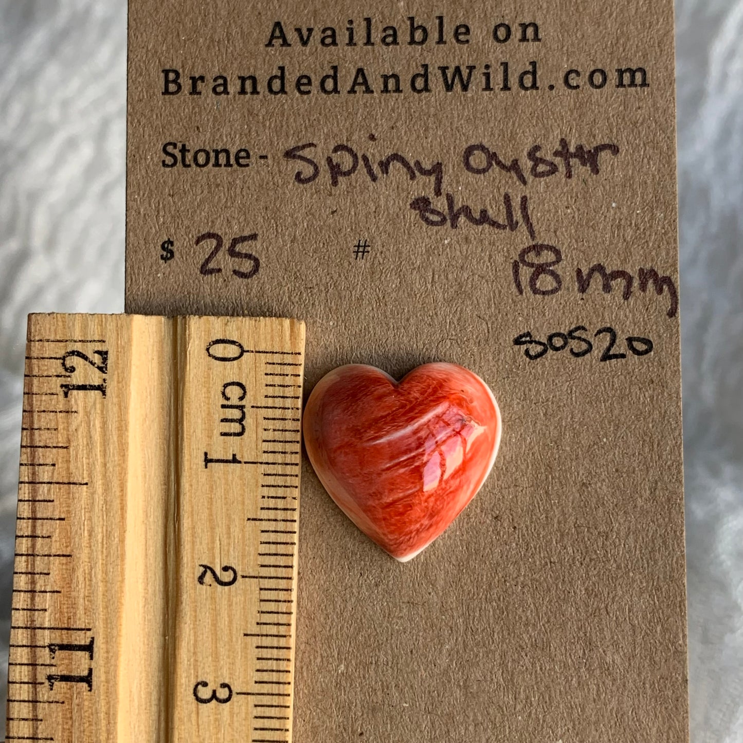 Spiny Oyster Shell Cabochon - SOS20