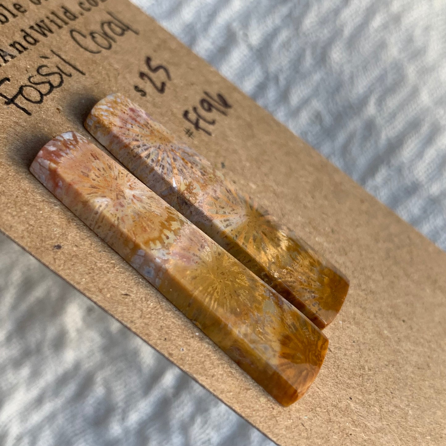Fossil Coral Cabochon - FC96