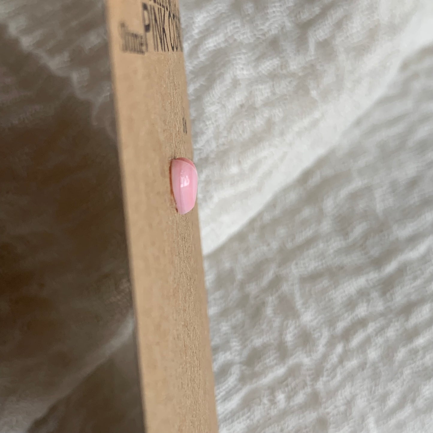 Pink Conch Cabochon - PC61