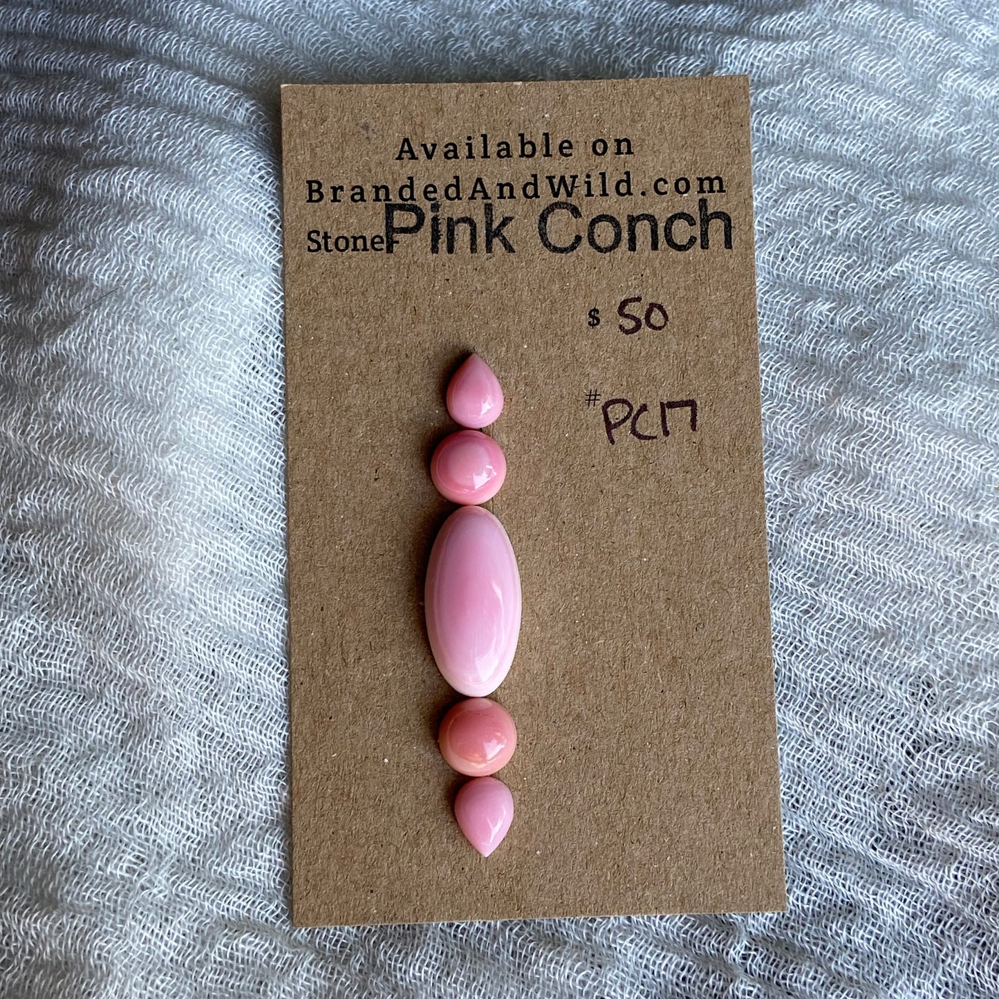 Pink Conch Cabochon - PC17
