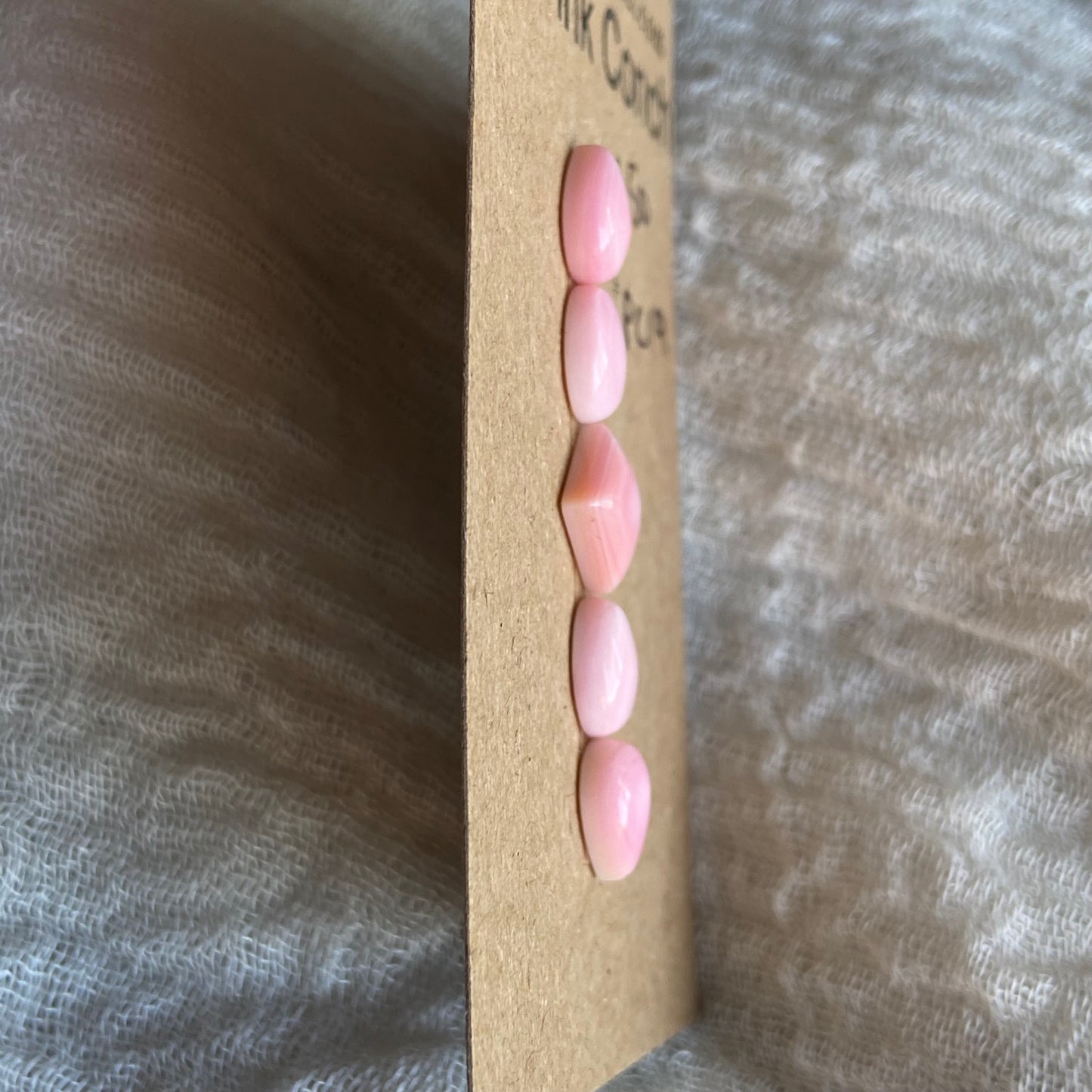 Pink Conch Cabochon - PC19