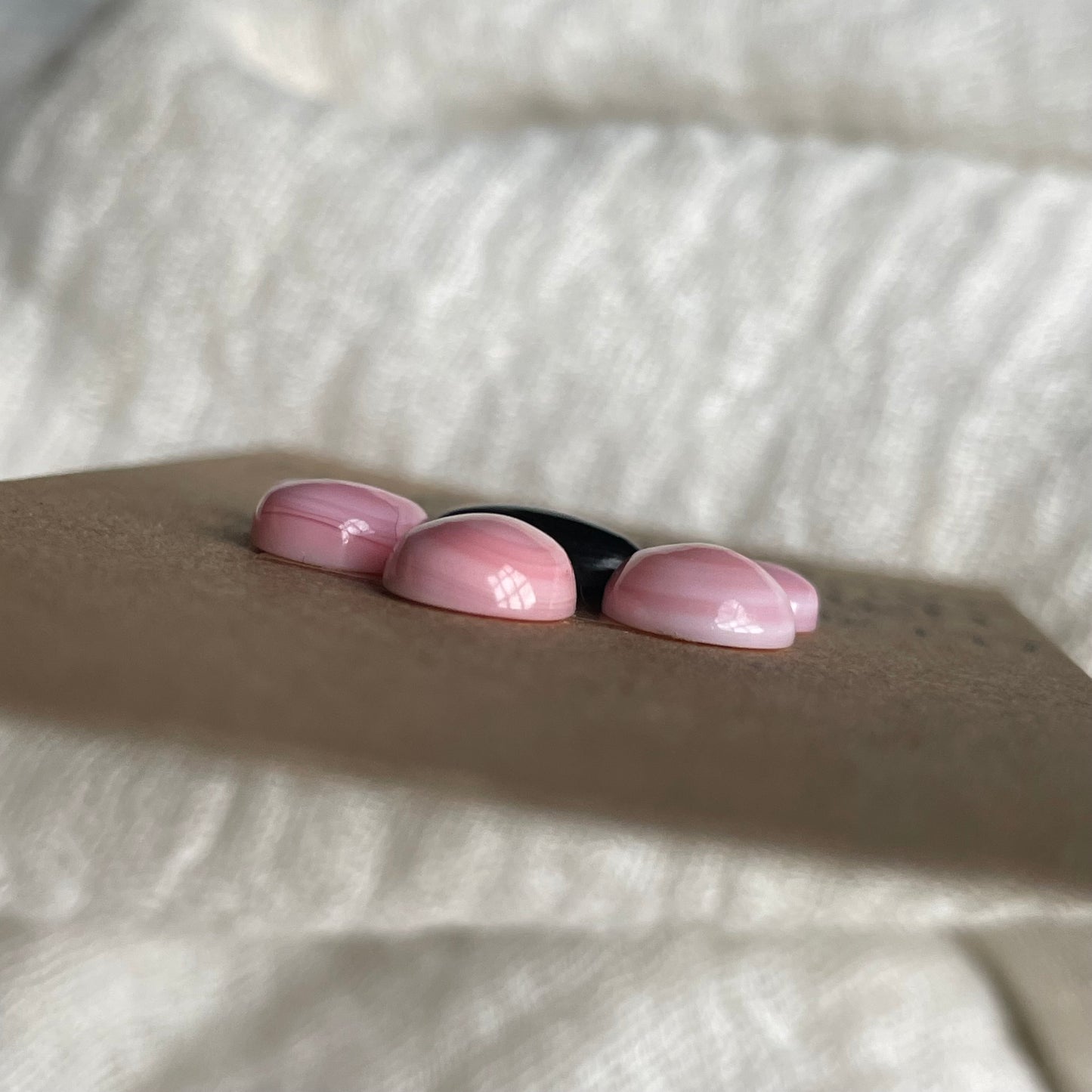 Black Onyx / Pink Conch Cabochon - MIX177 787293C2-CF2F-4BA3-B267-857DB0E0F36E Brandedandwild.com