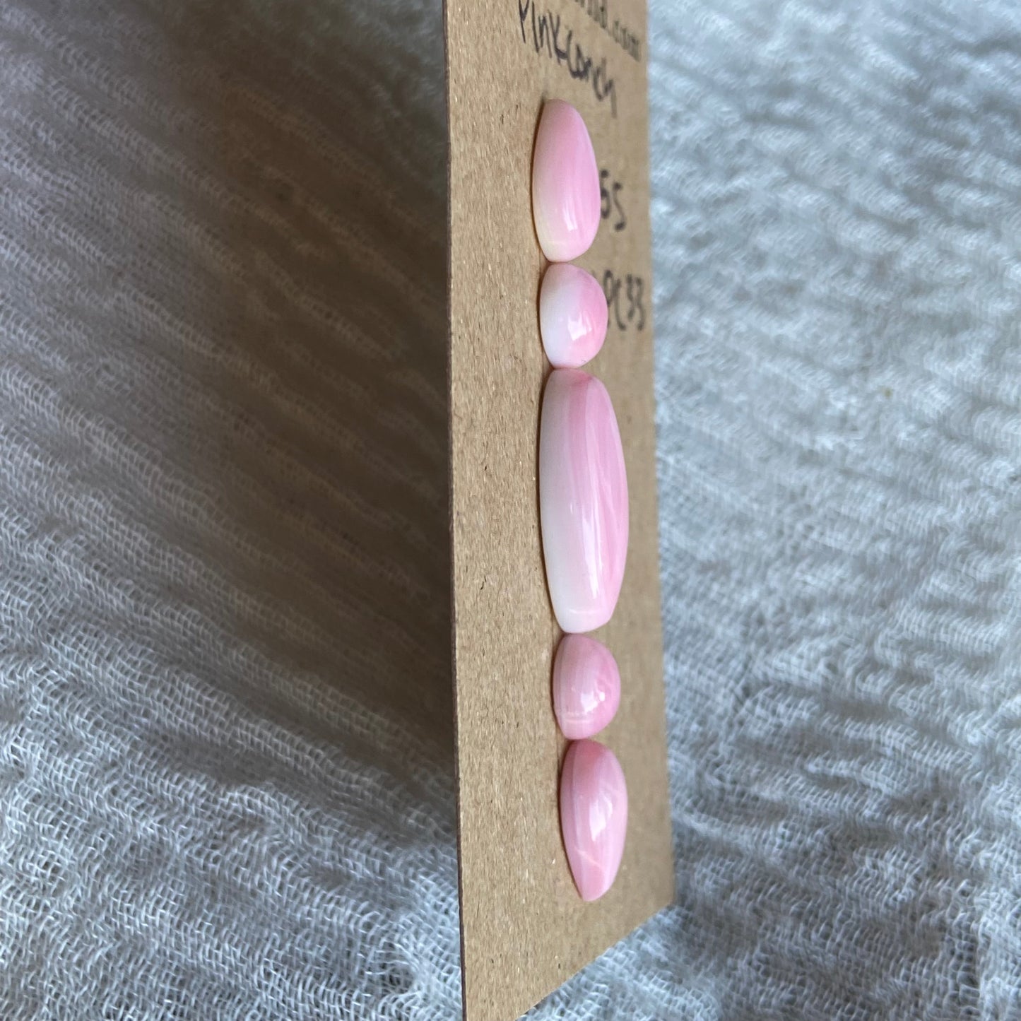 Pink Conch Cabochon - PC33