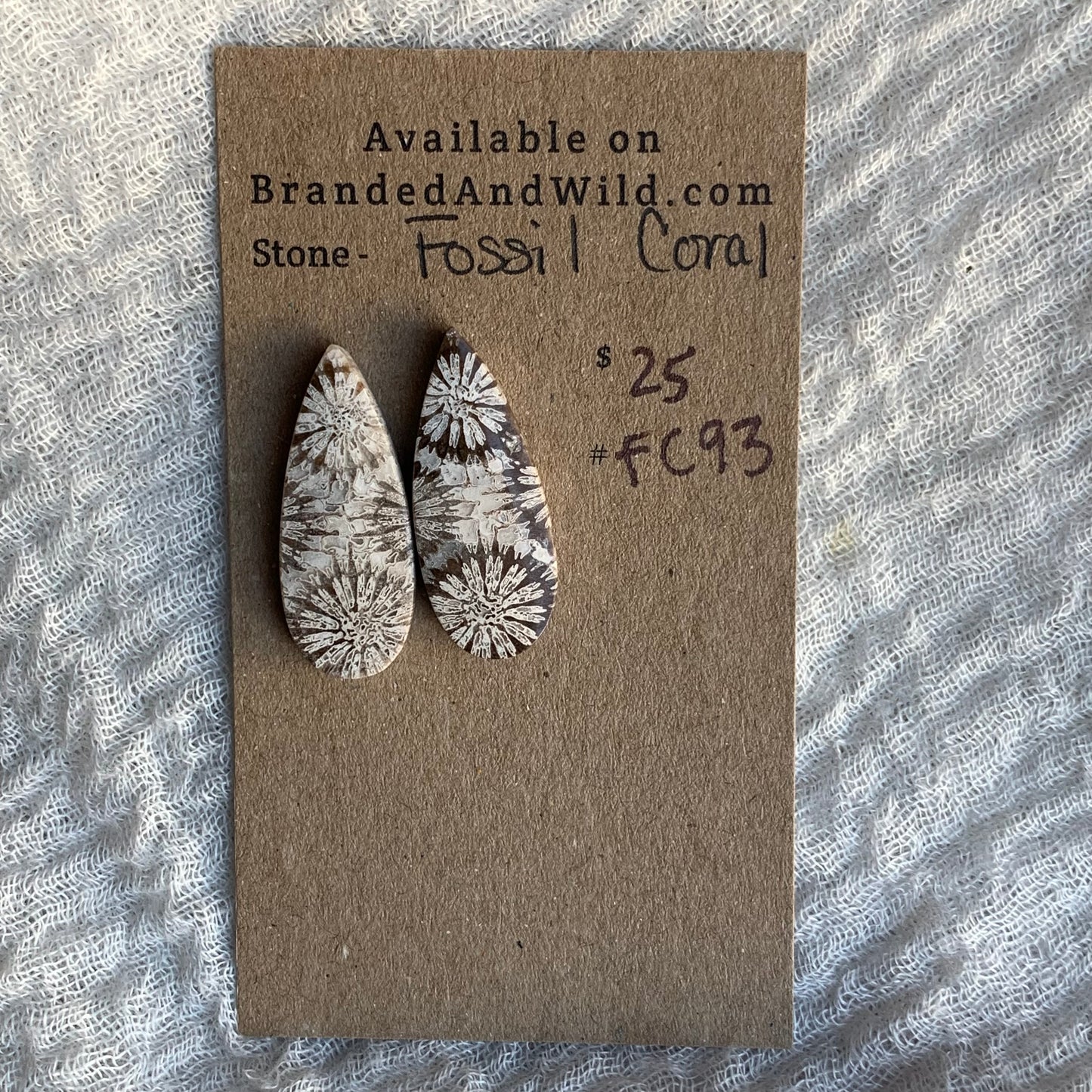 Fossil Coral Cabochon - FC93