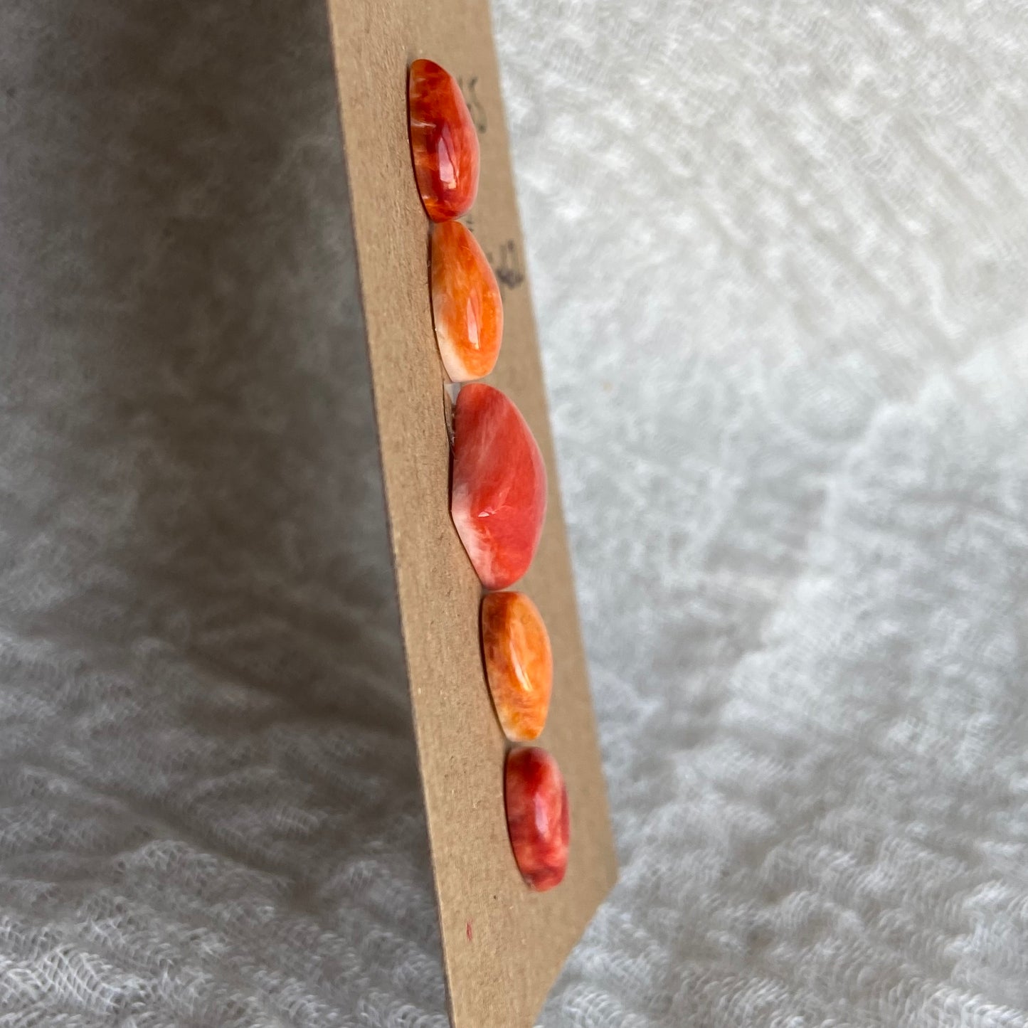 Oystershell Cabochon - MIX62