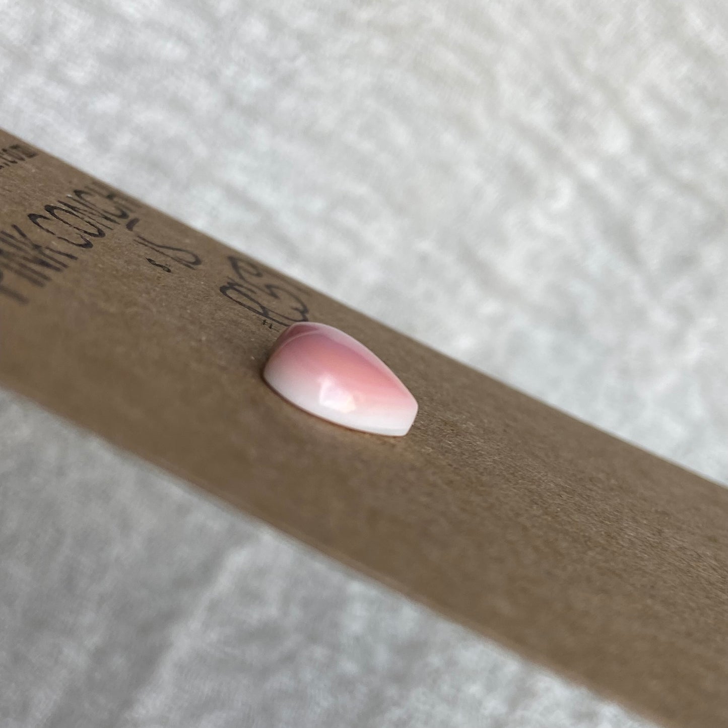 Pink Conch Cabochon - PC59