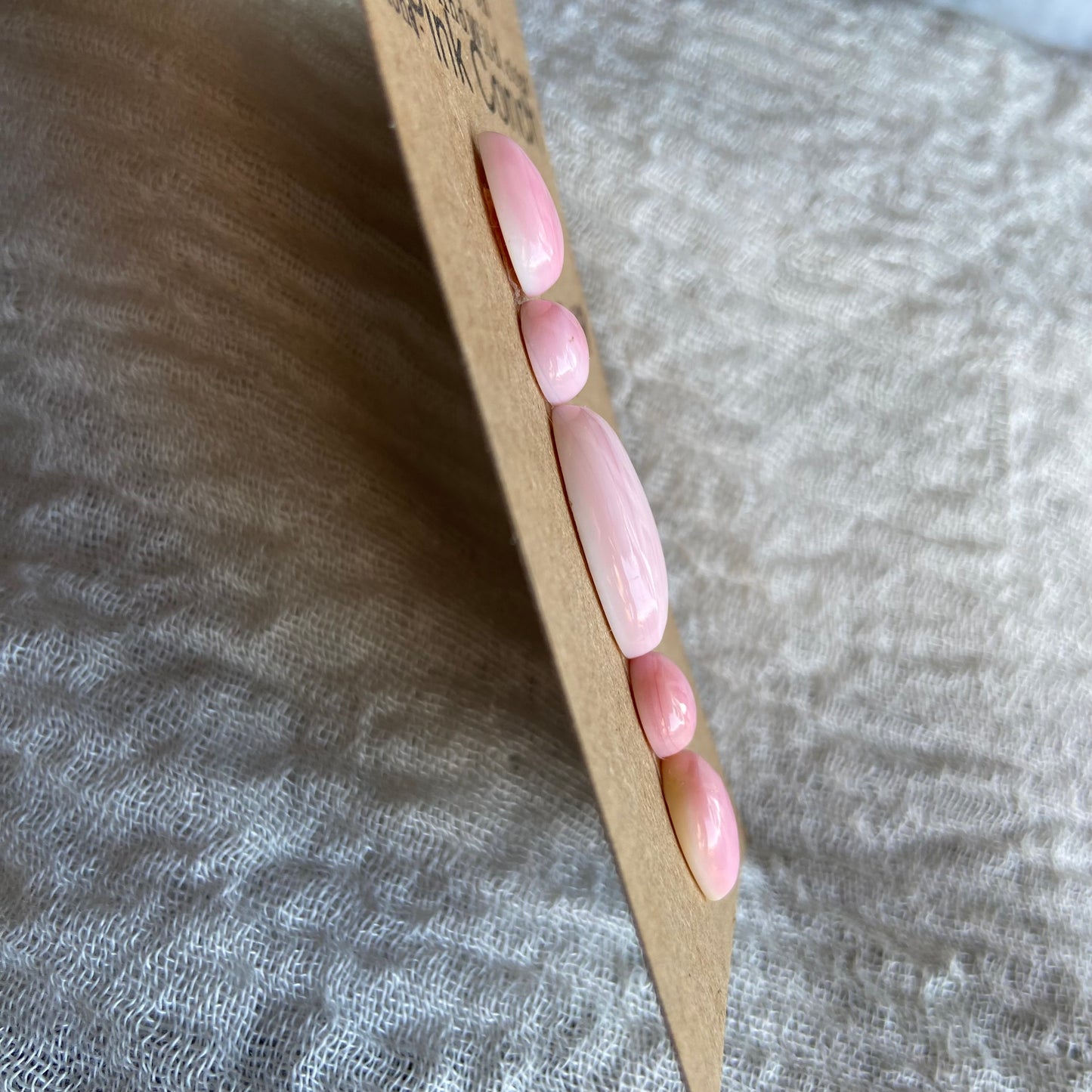 Pink Conch Cabochon - PC39