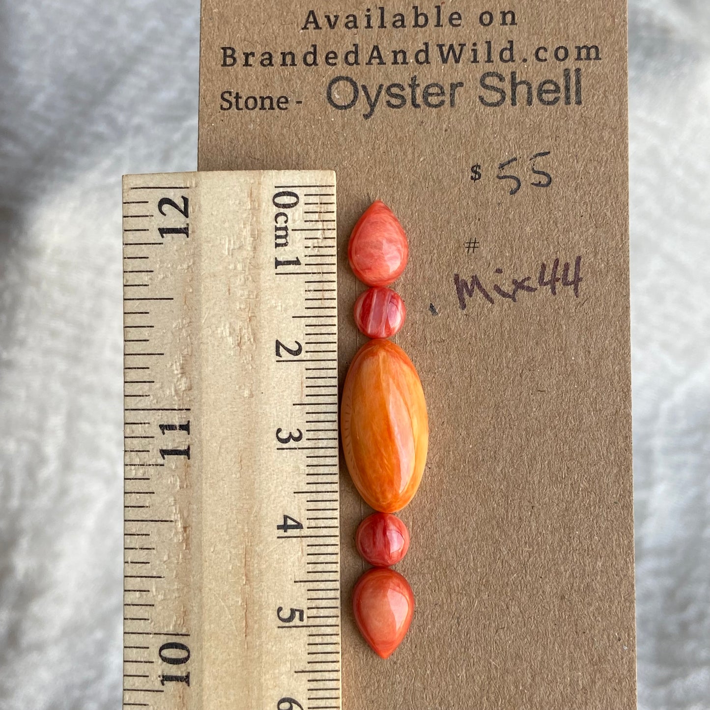 Oystershell Cabochon - MIX44