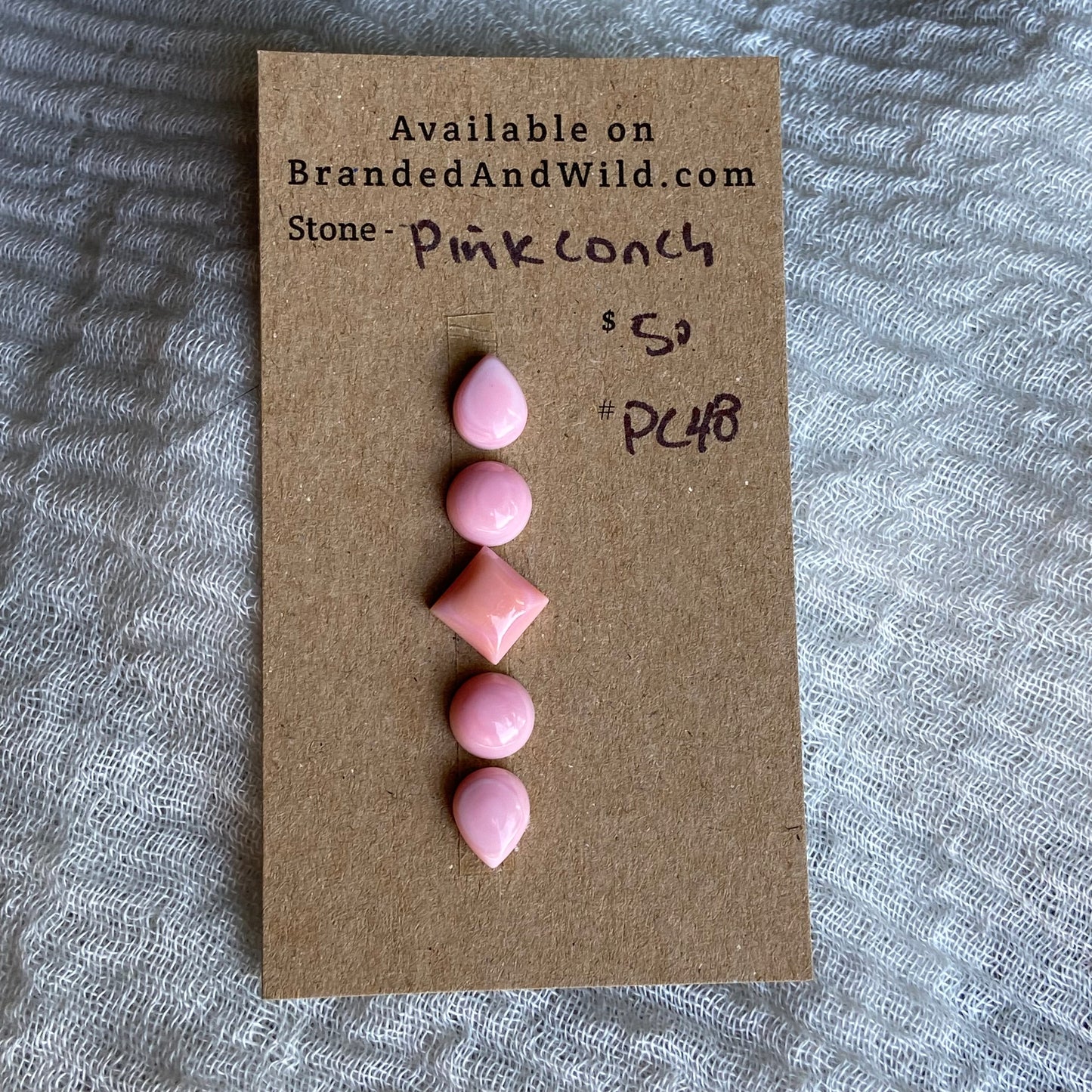 Pink Conch Cabochon - PC48