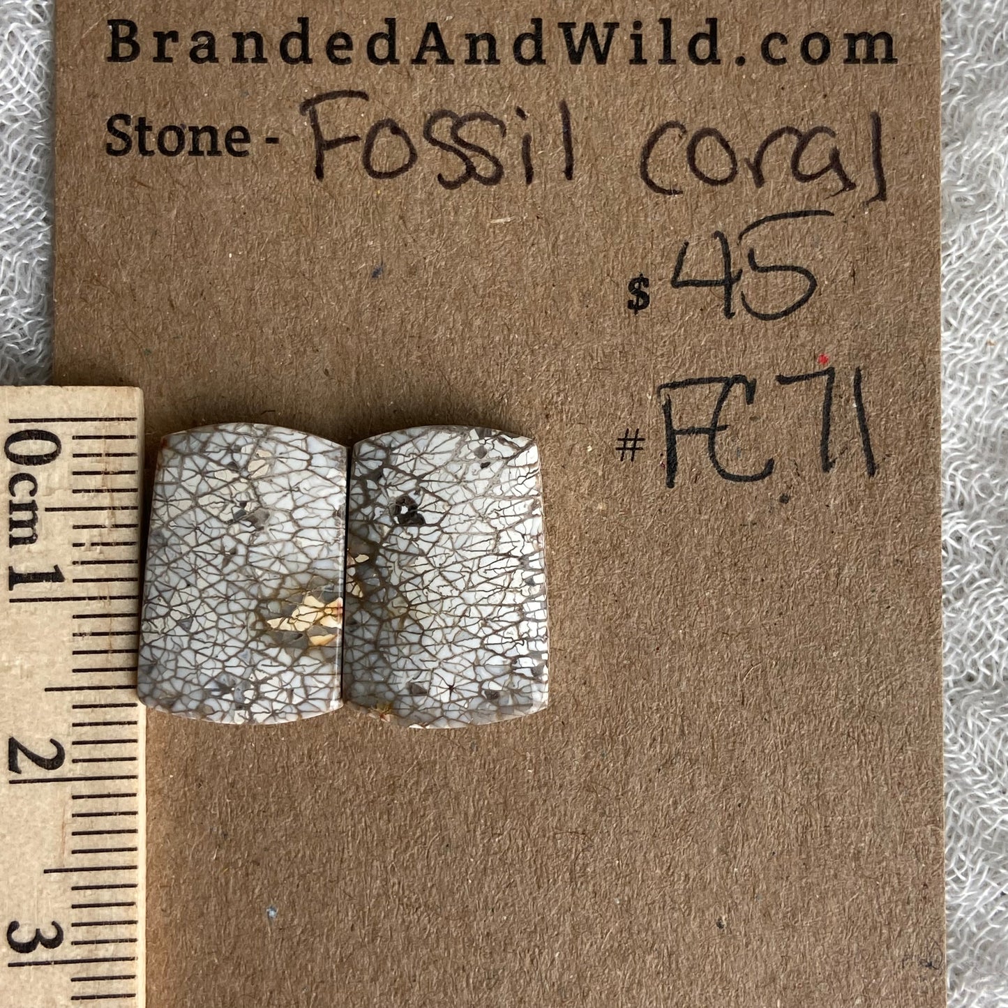 Fossil Coral Cabochon - FC71