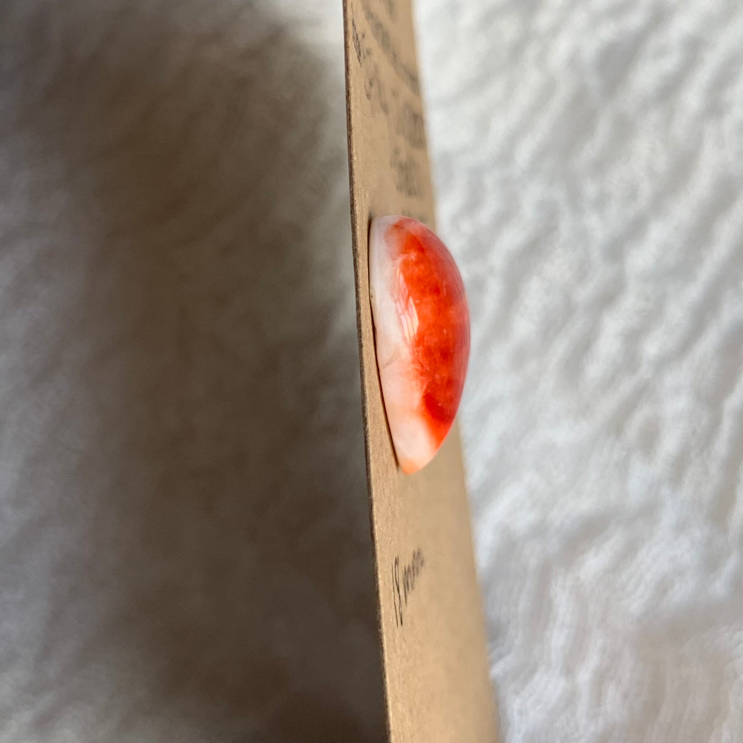 Spiny Oyster Shell Cabochon - SOS15