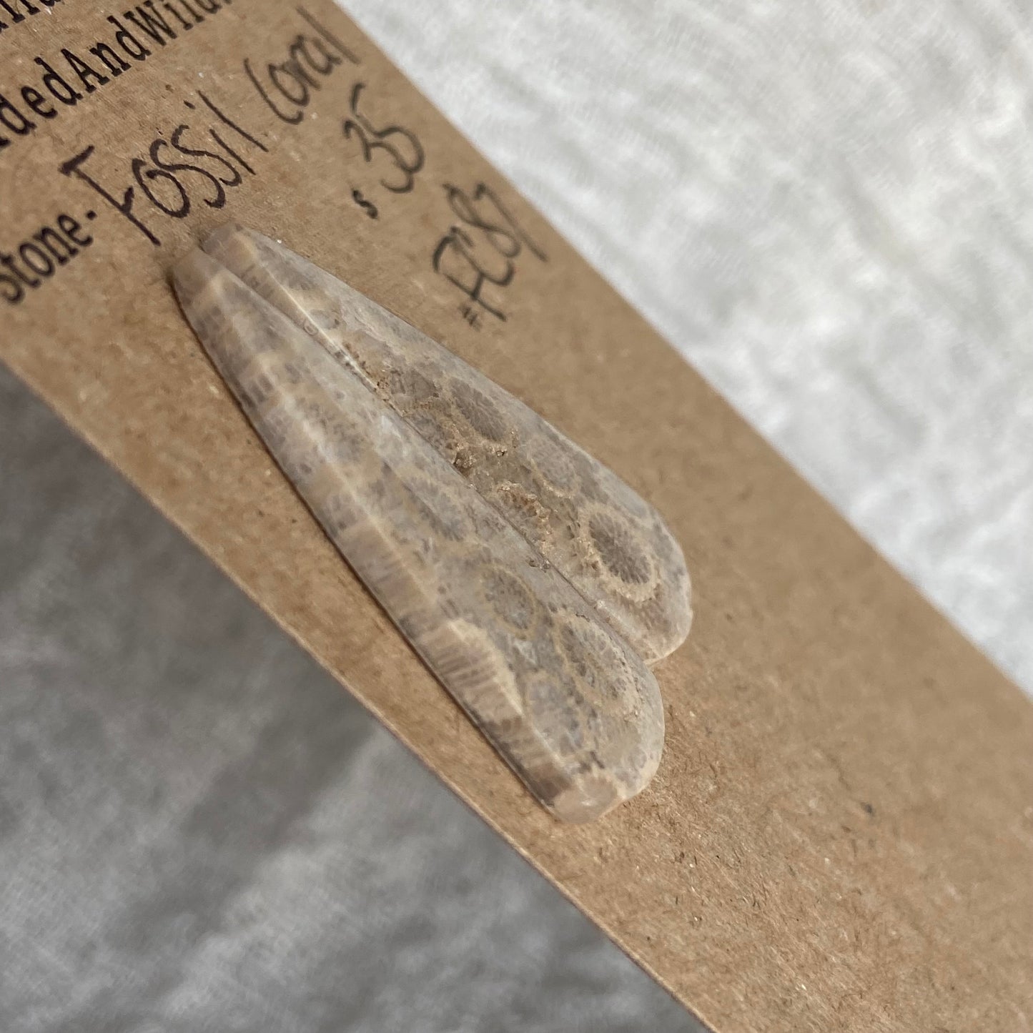 Fossil Coral Cabochon - FC87