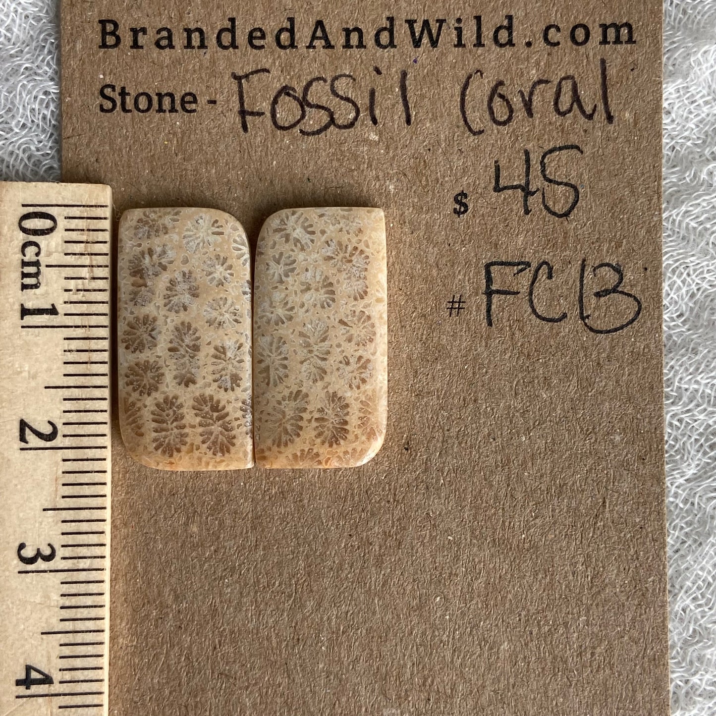 Fossil Coral Cabochon - FC13