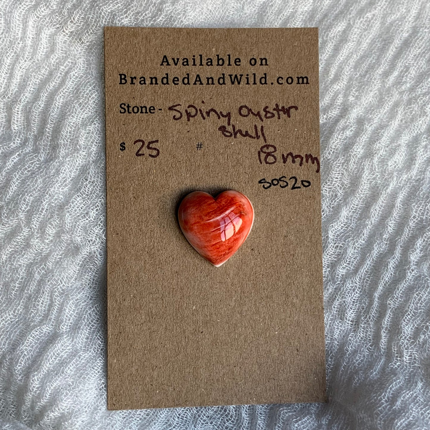 Spiny Oyster Shell Cabochon - SOS20