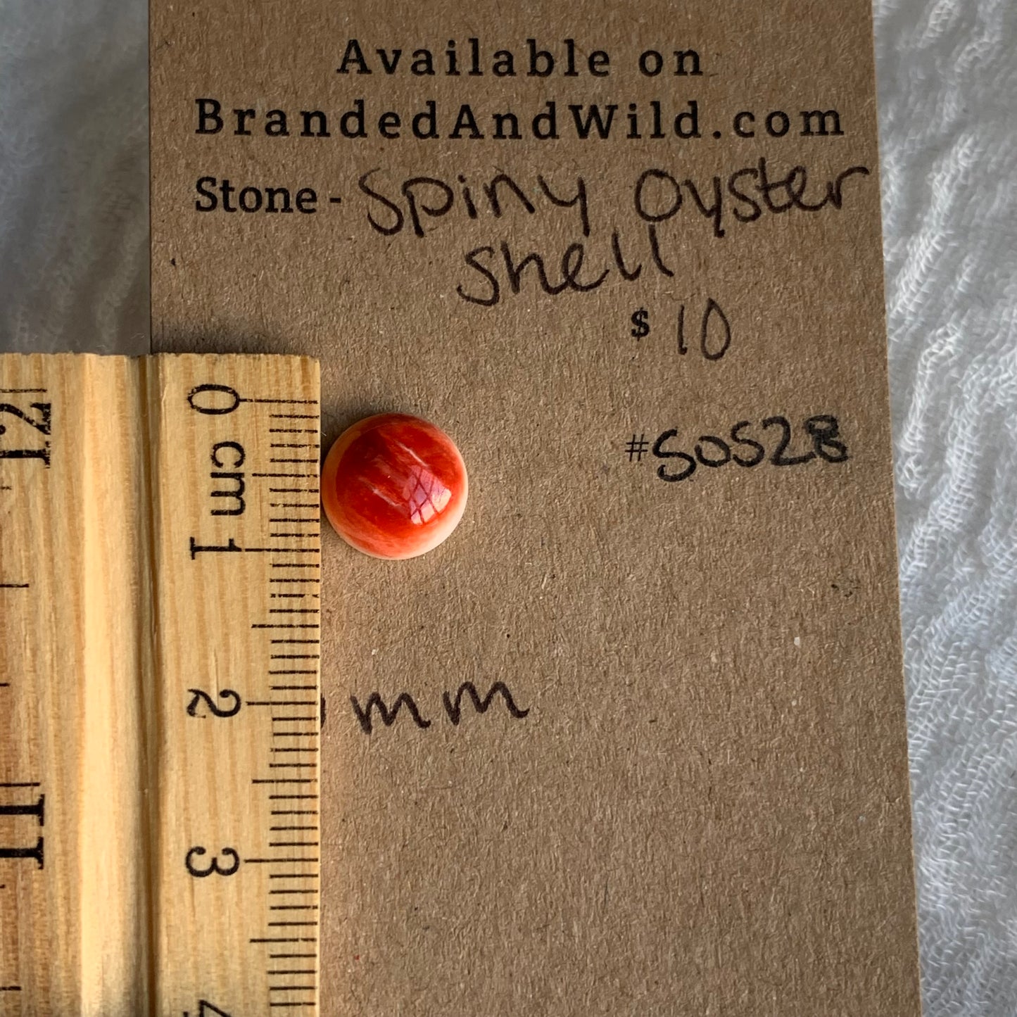 Spiny Oyster Shell Cabochon - SOS28
