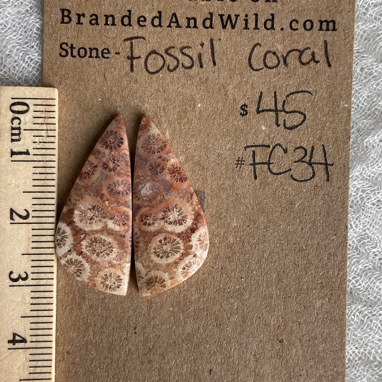 Fossil Coral Cabochon - FC34