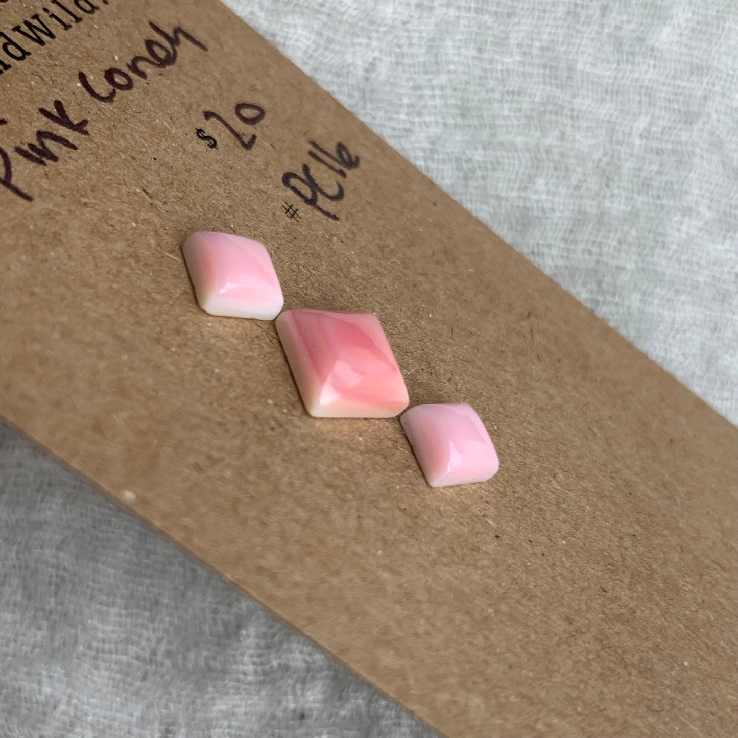 Pink Conch Cabochon - PC16
