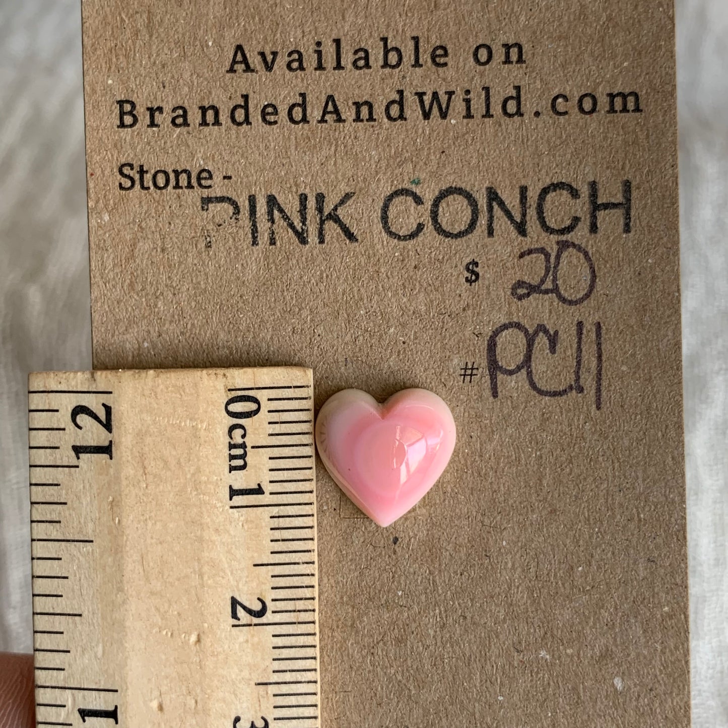 Pink Conch Cabochon - PC11