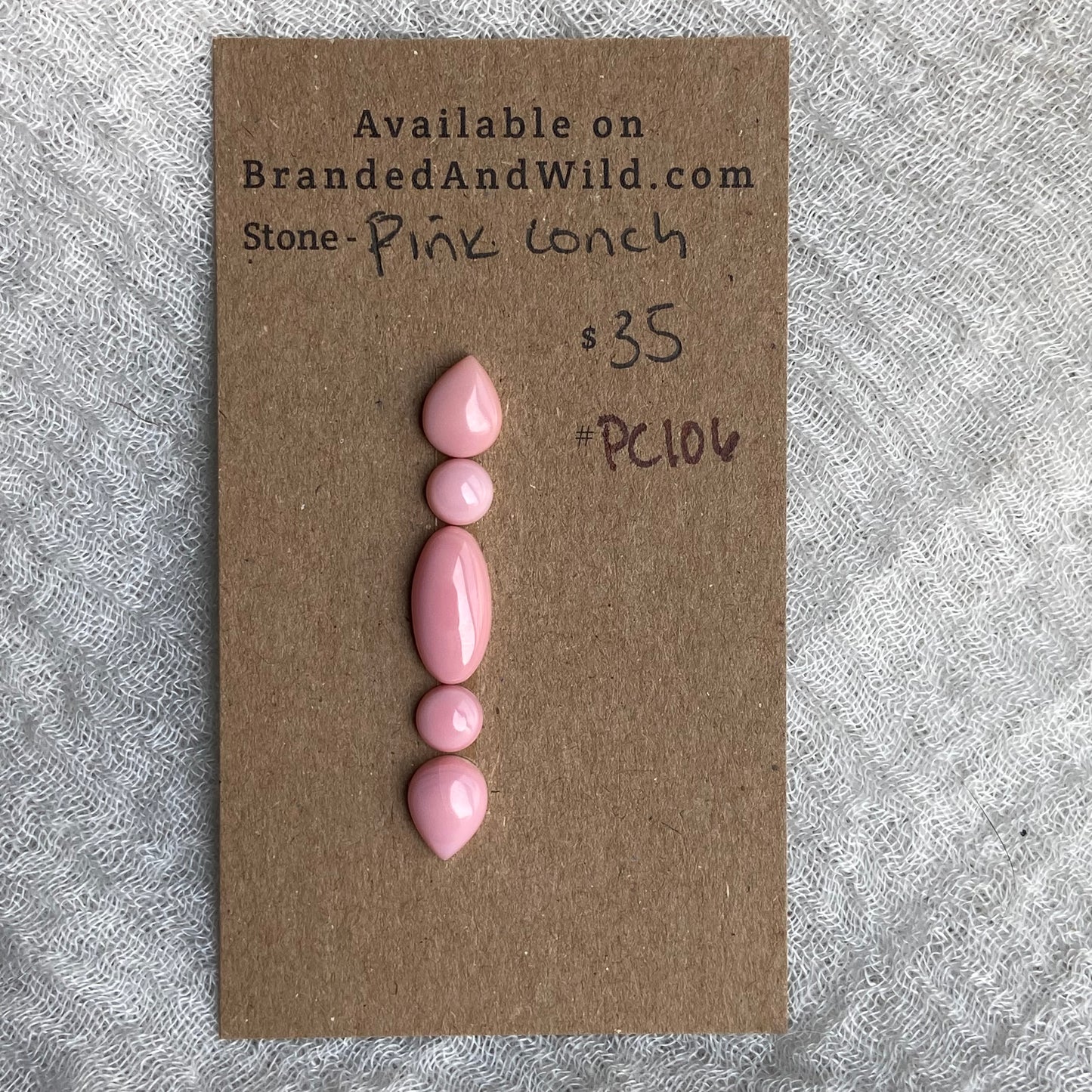Pink Conch Cabochon - PC106