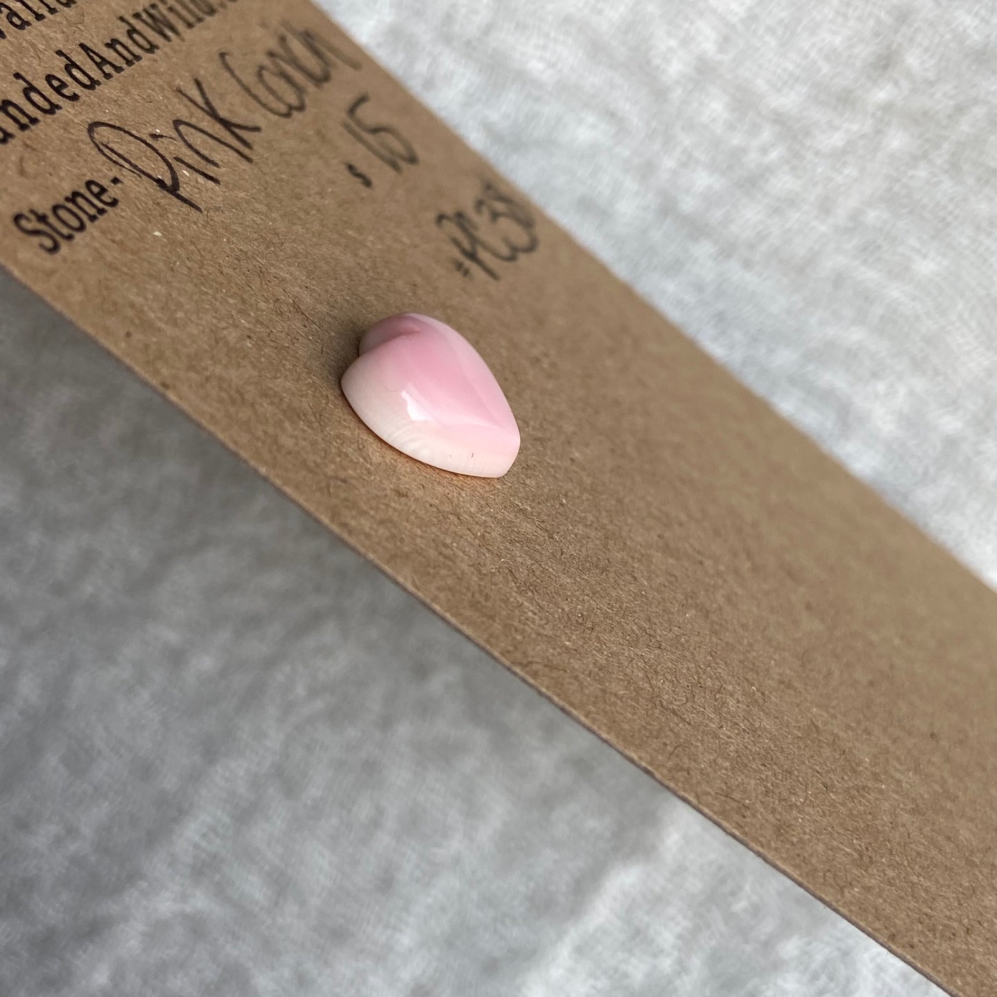 Pink Conch Cabochon - PC38